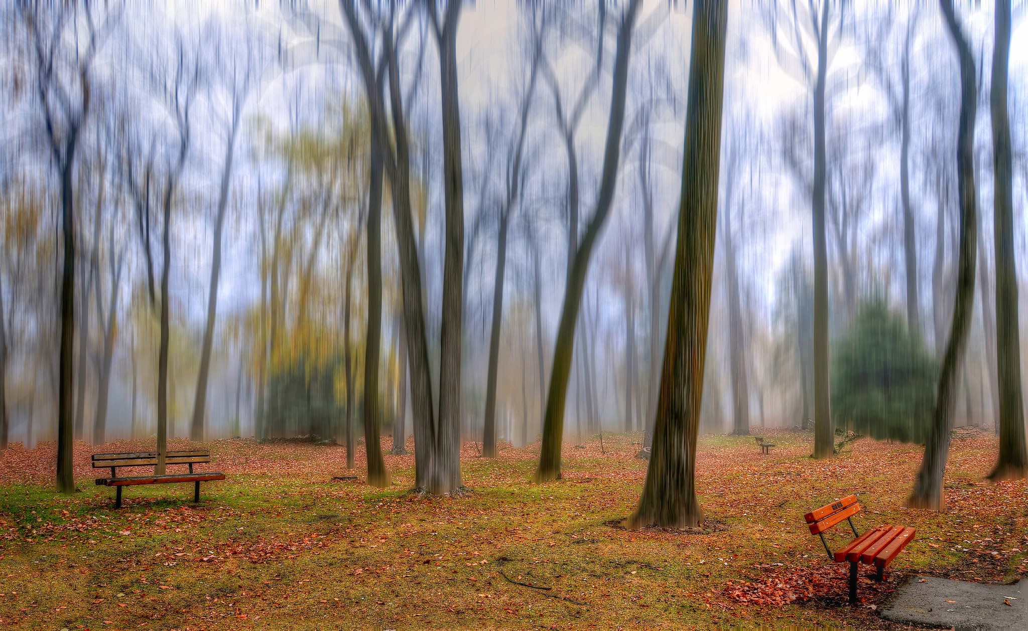 Park with trees and benches in autumn HD Wallpaper