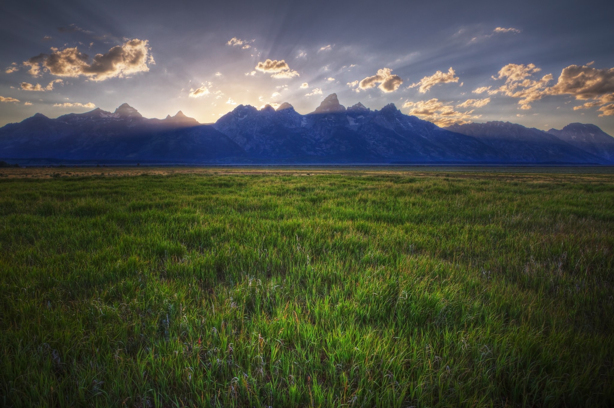 Grand Teton Mountains at sunset with a grassy field HD Wallpaper