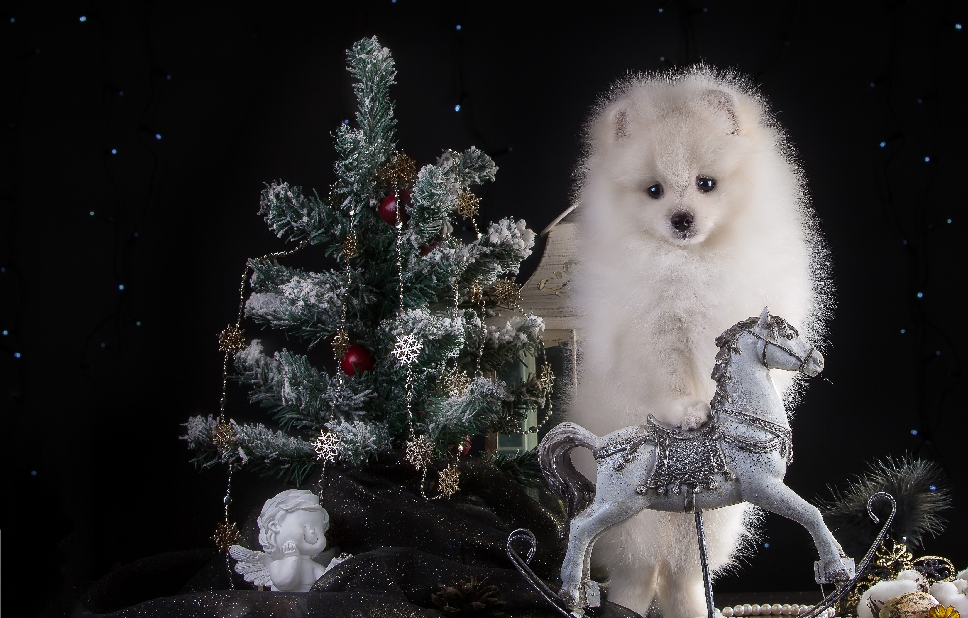 White Pomeranian dog with Christmas tree and rocking horse HD Wallpaper