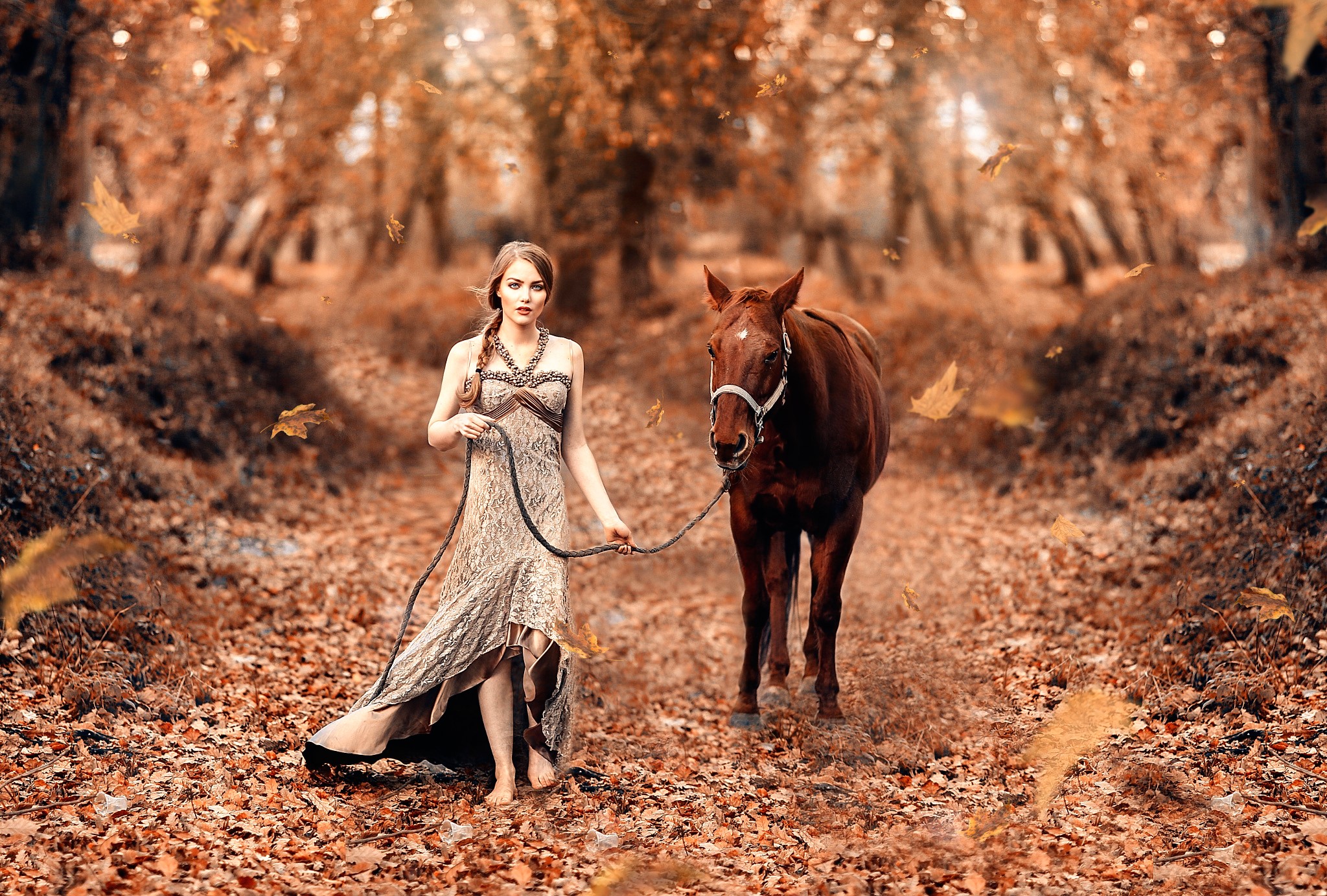 Woman with horse in autumn forest HD Wallpaper