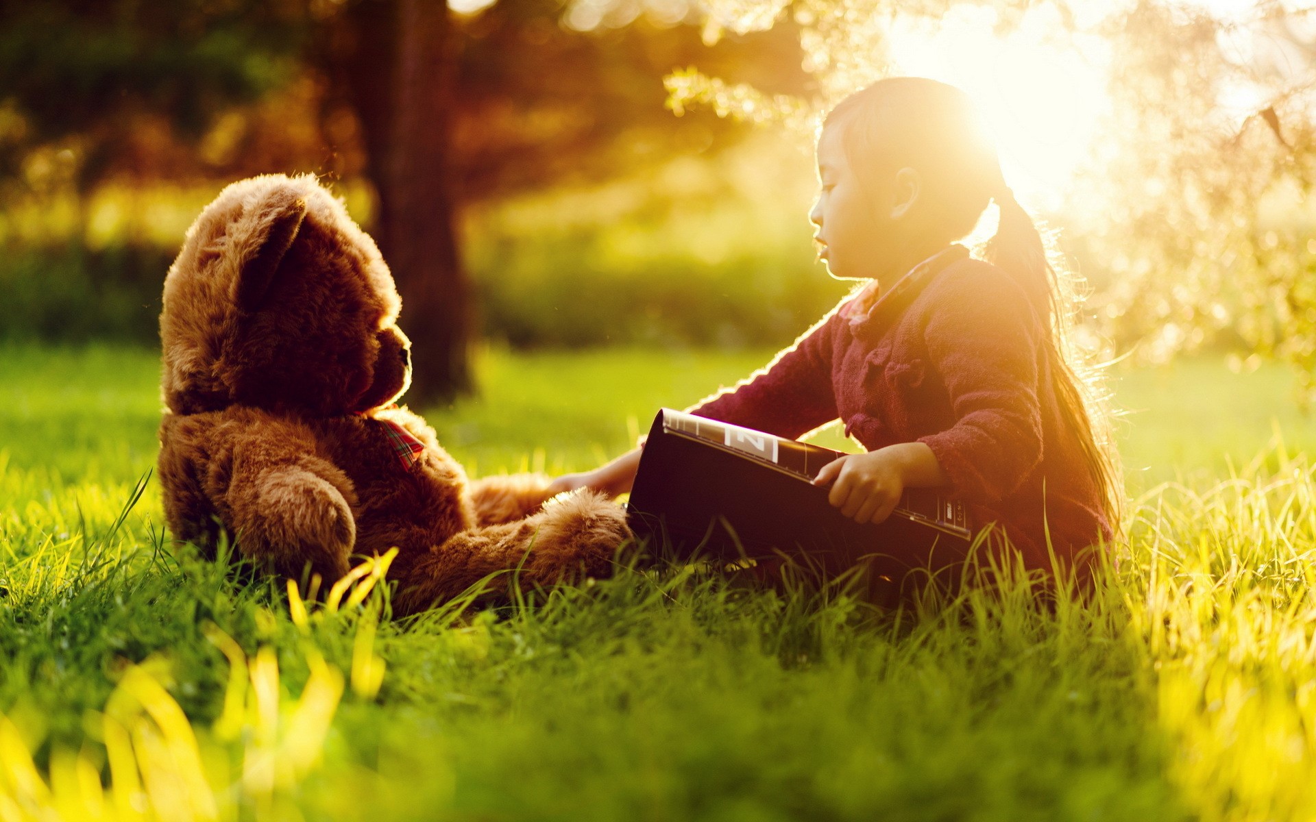 Girl reading a book to a teddy bear in the grass HD Wallpaper