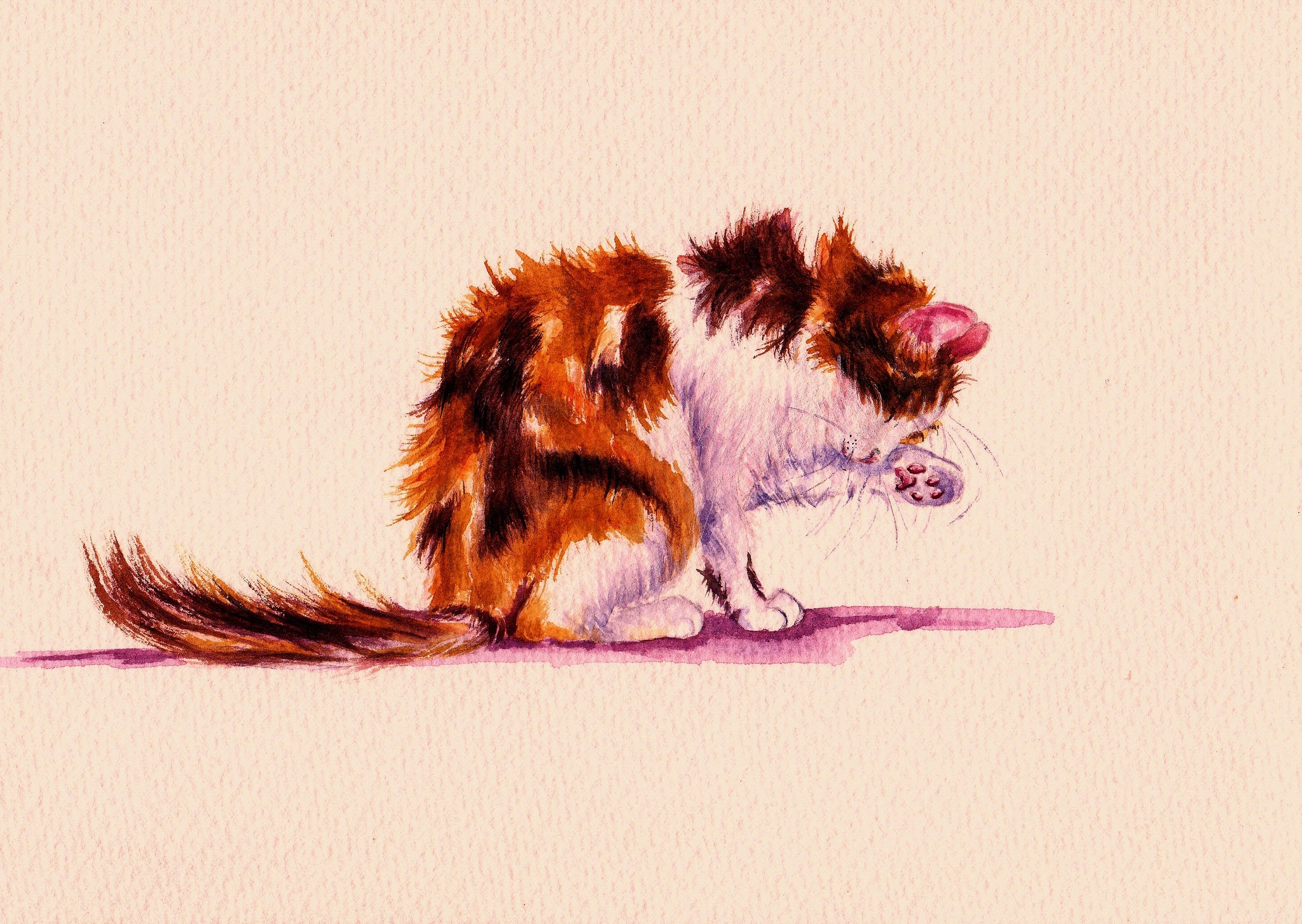 Watercolor painting of a calico cat grooming HD Wallpaper