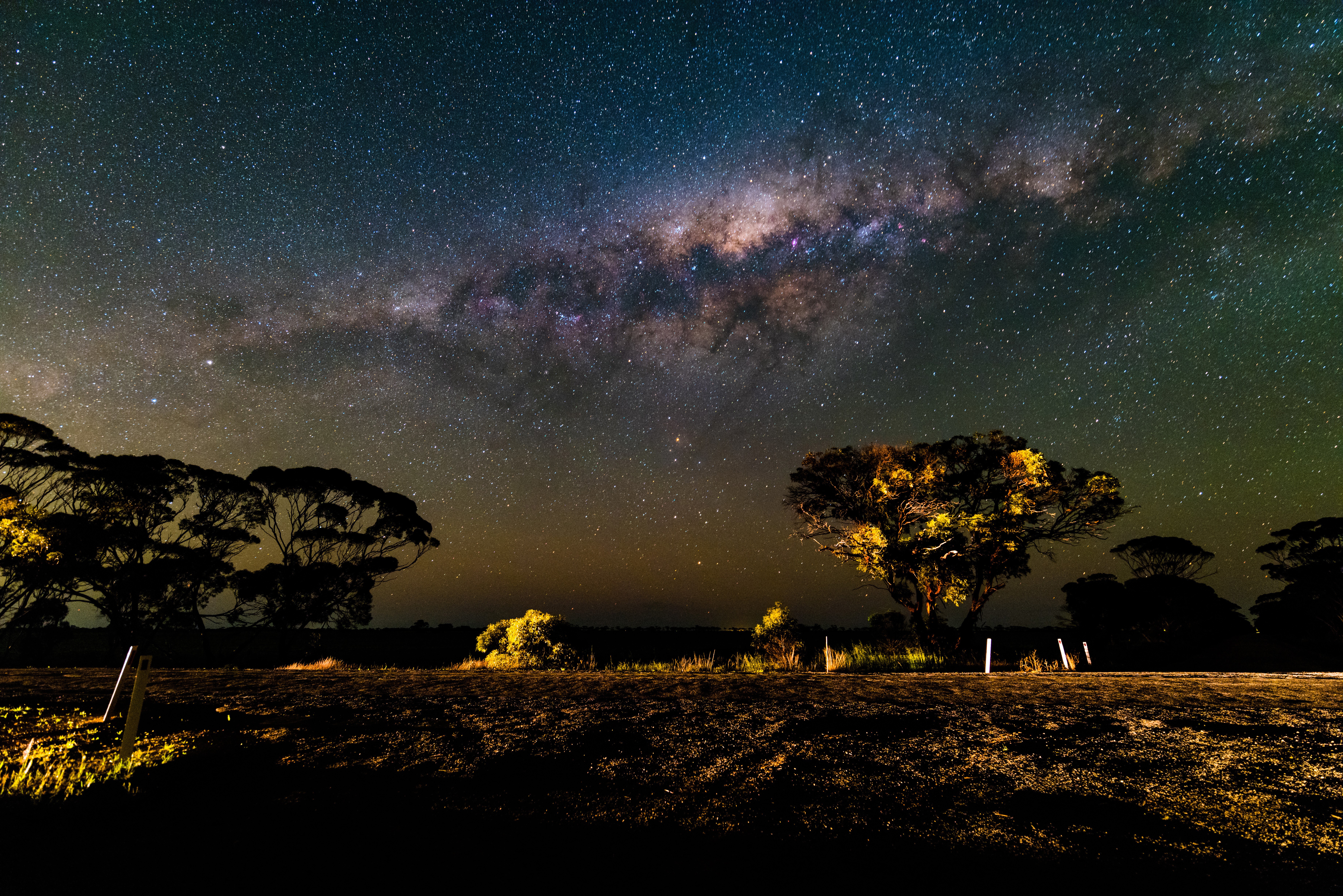 Milky Way over trees at night HD Wallpaper