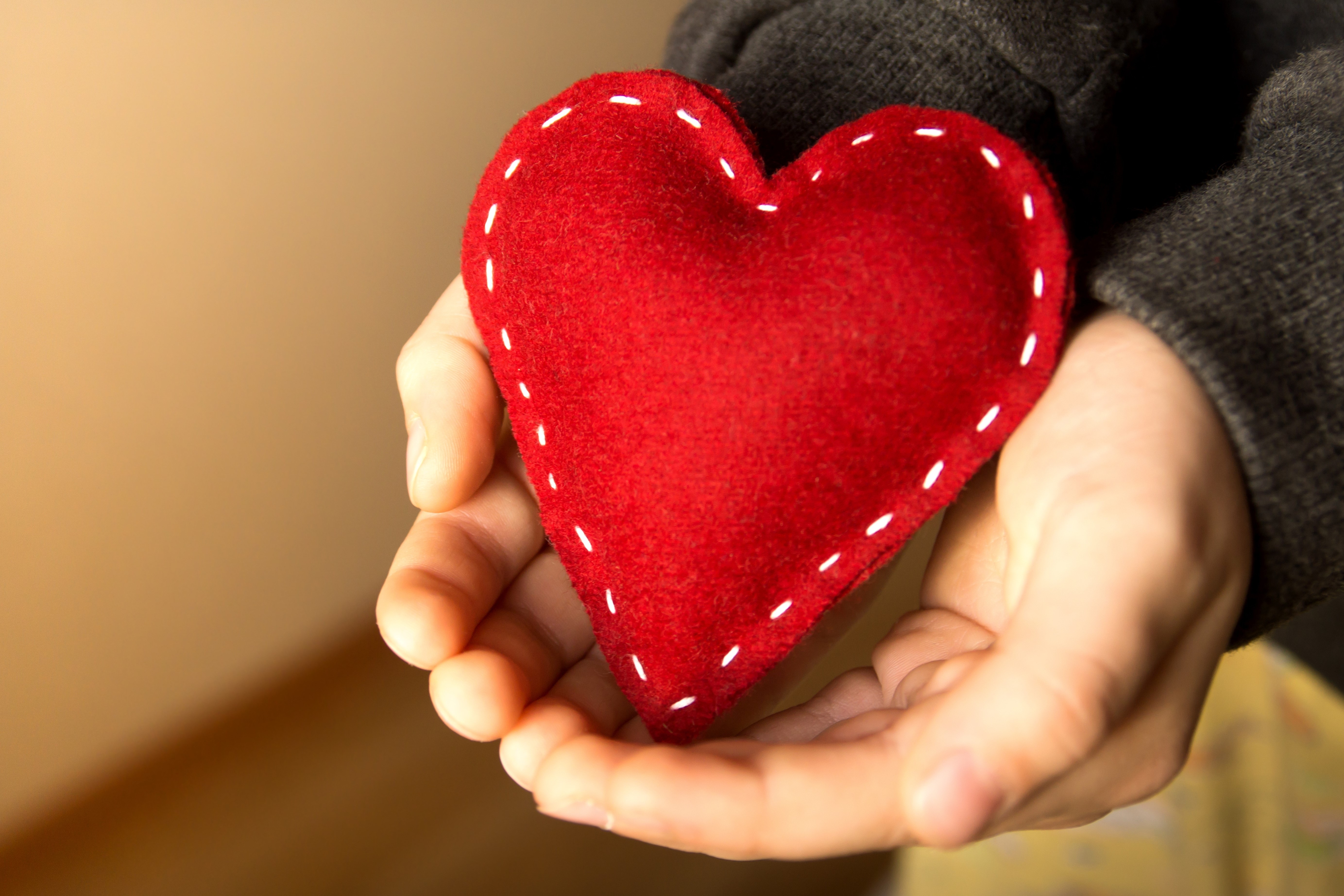 Hands holding a red heart HD Wallpaper