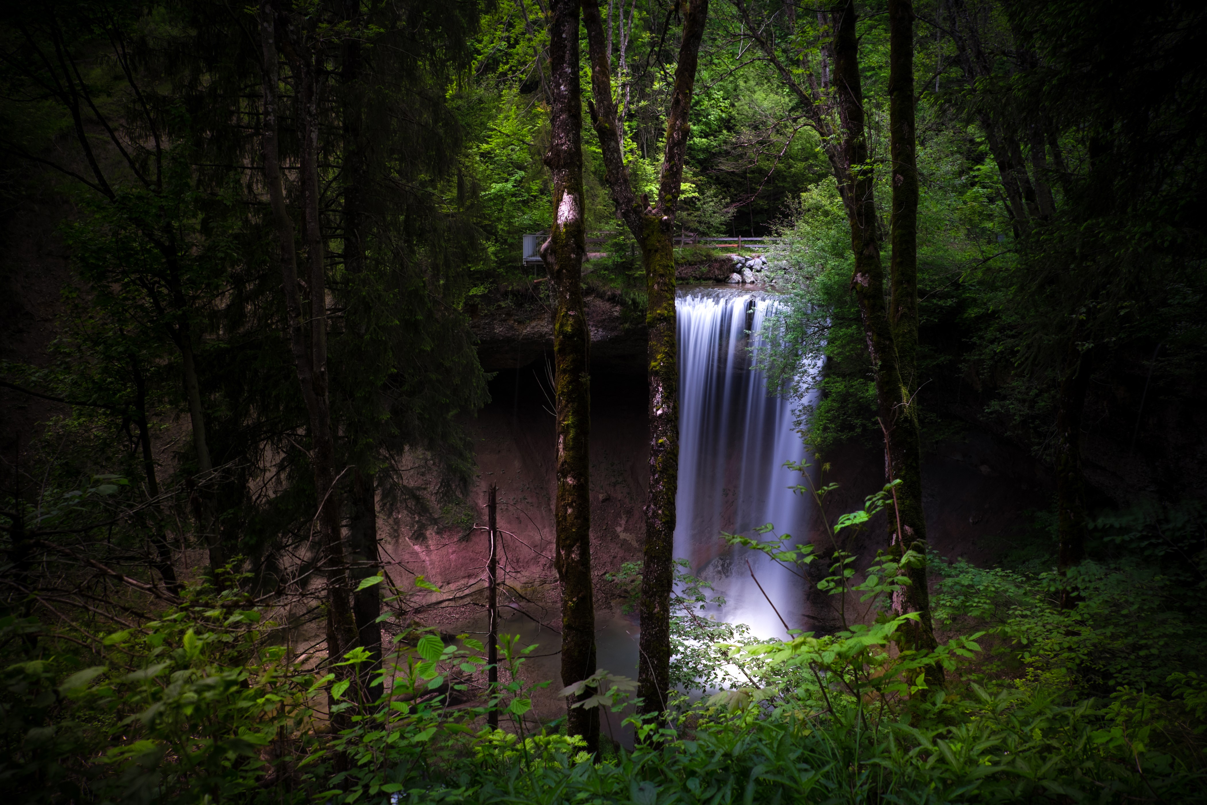 4K Forests and Waterfalls HD Wallpaper