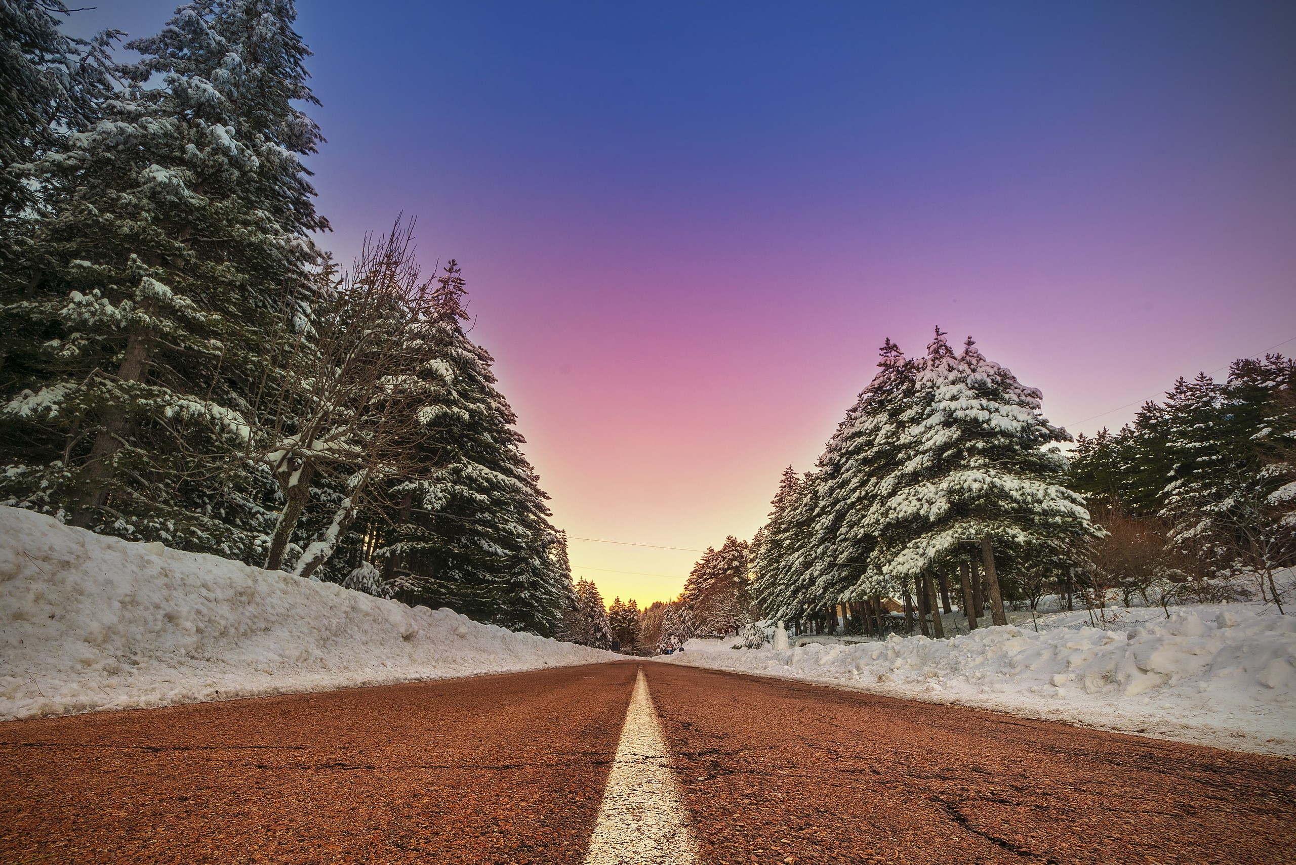 Snowy road through a forest at sunset HD Wallpaper