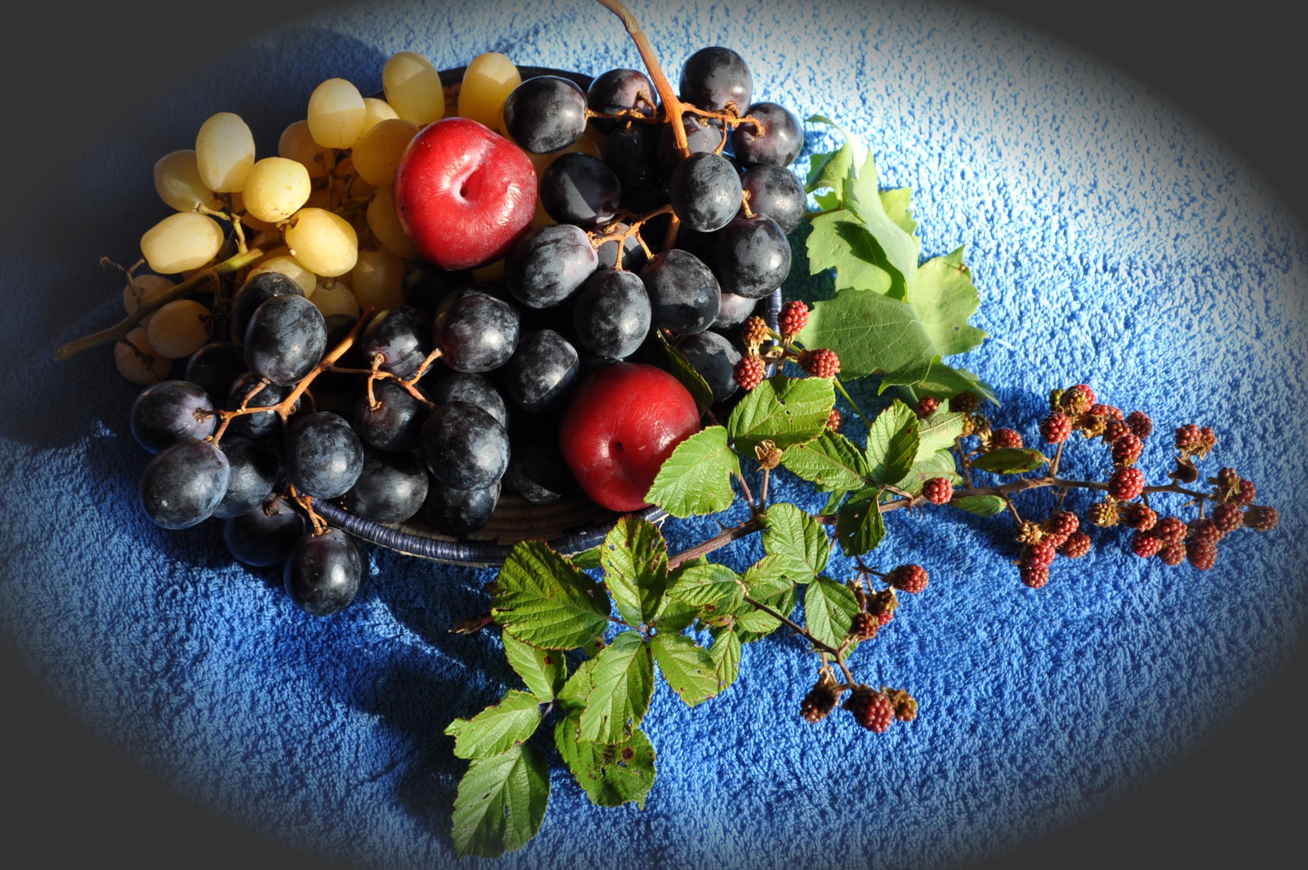 Grapes, Plums, and Blackberries on a Blue Towel HD Wallpaper