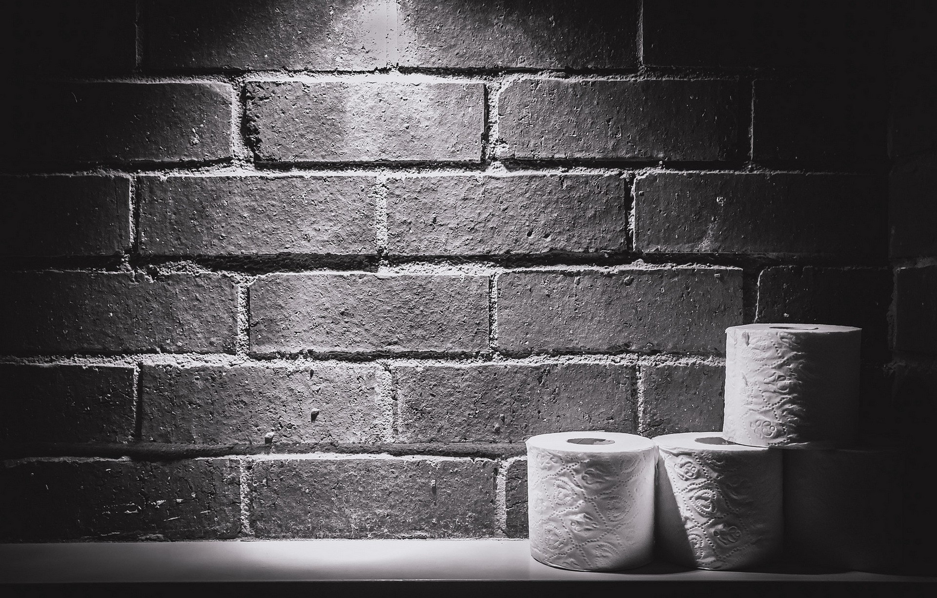 Toilet paper rolls stacked against a brick wall HD Wallpaper