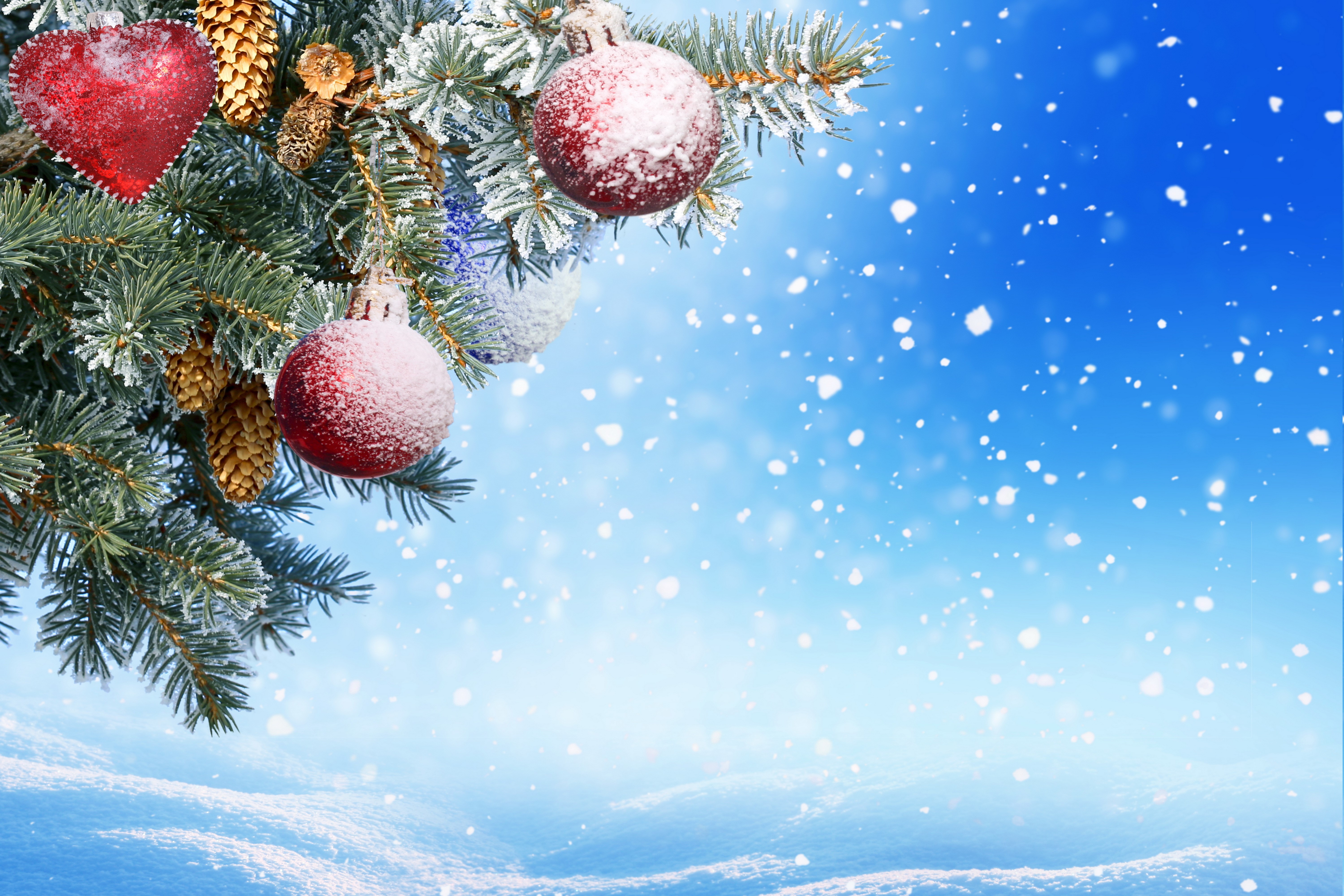 Christmas tree branches with ornaments and pine cones HD Wallpaper