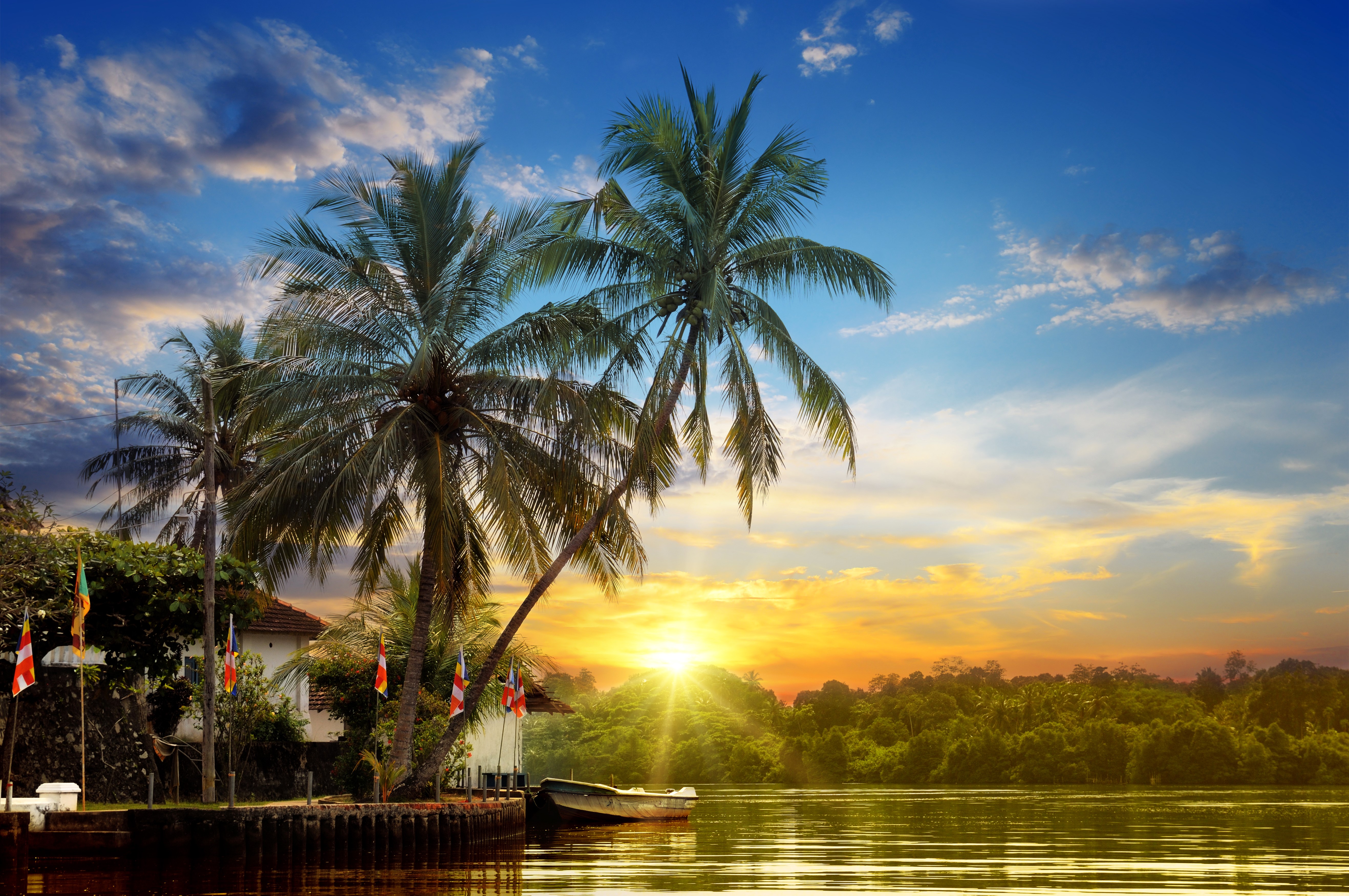 Tropical river at sunset with palm trees and flags HD Wallpaper