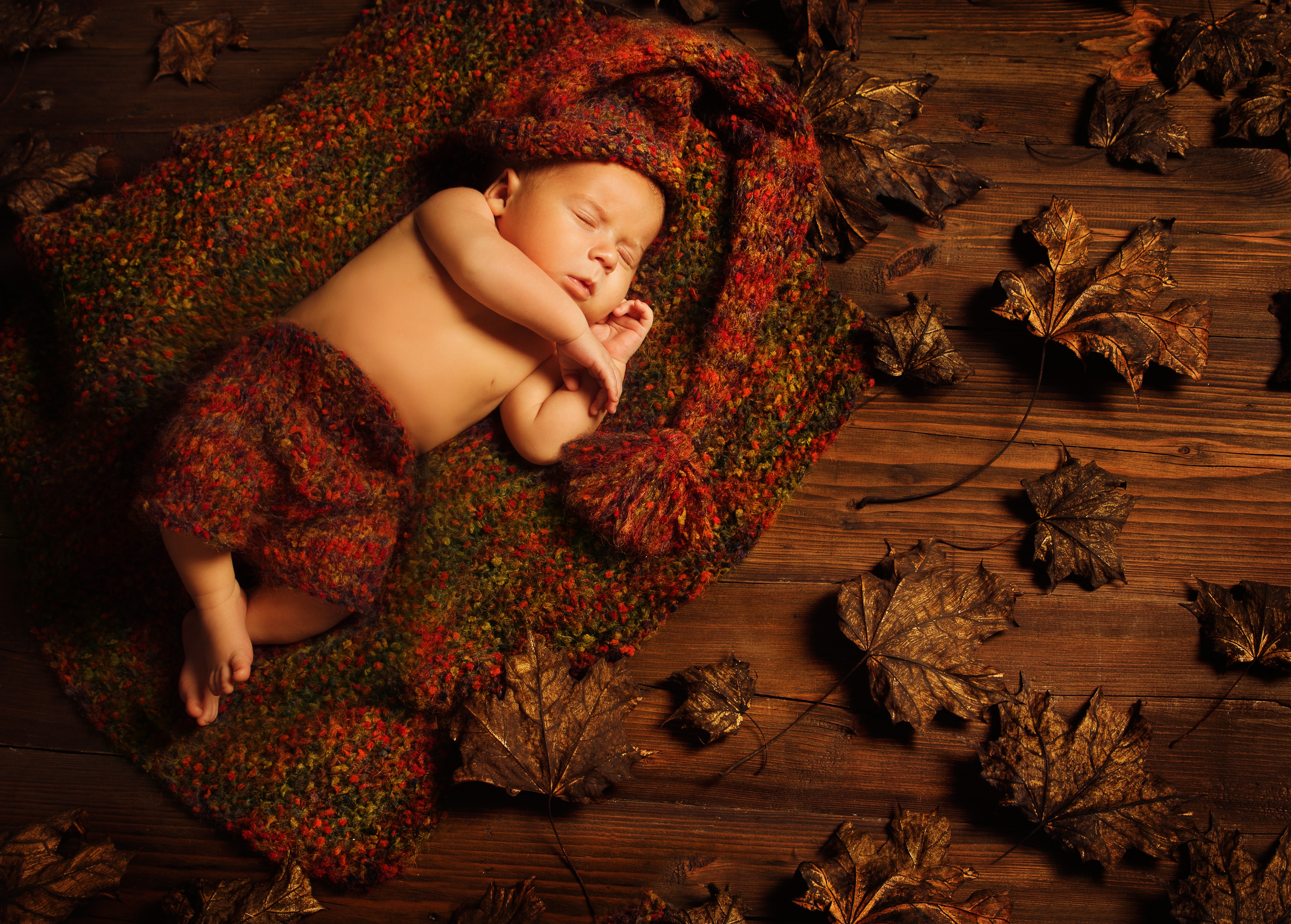 Baby sleeping on autumn blanket with leaves HD Wallpaper