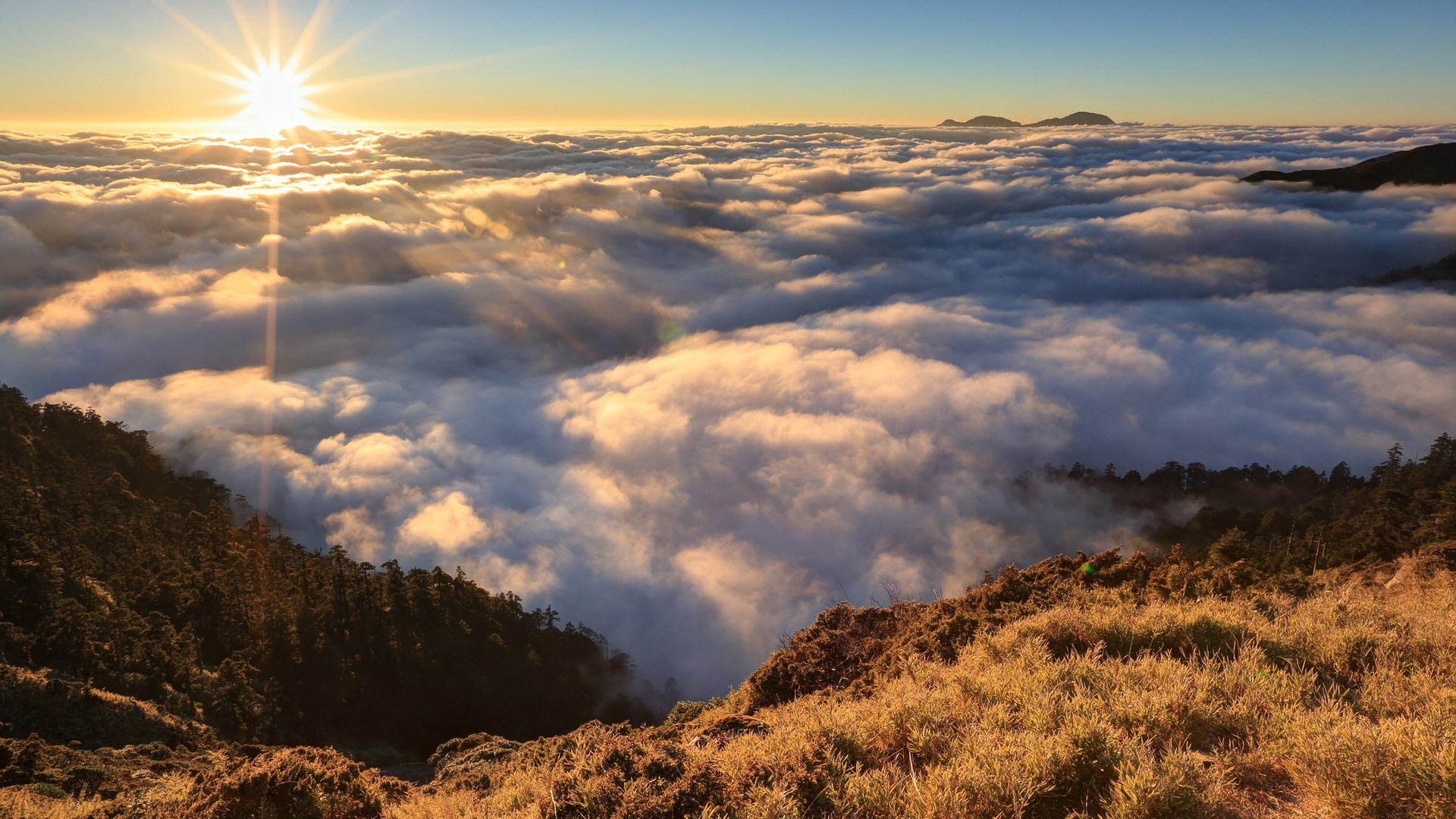 Sunrise over a sea of clouds from a mountain peak HD Wallpaper