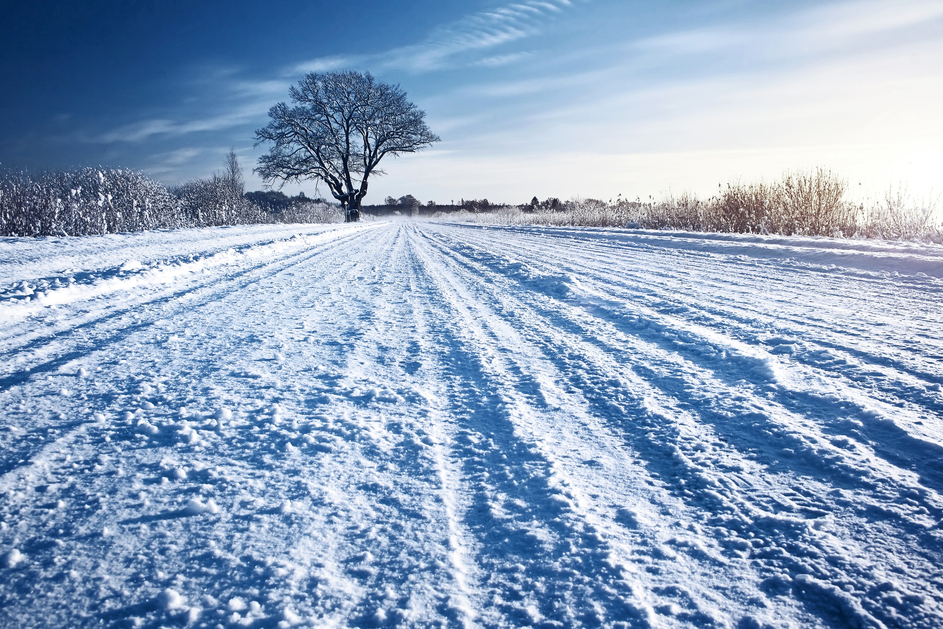 Snowy road with a lone tree in winter HD Wallpaper