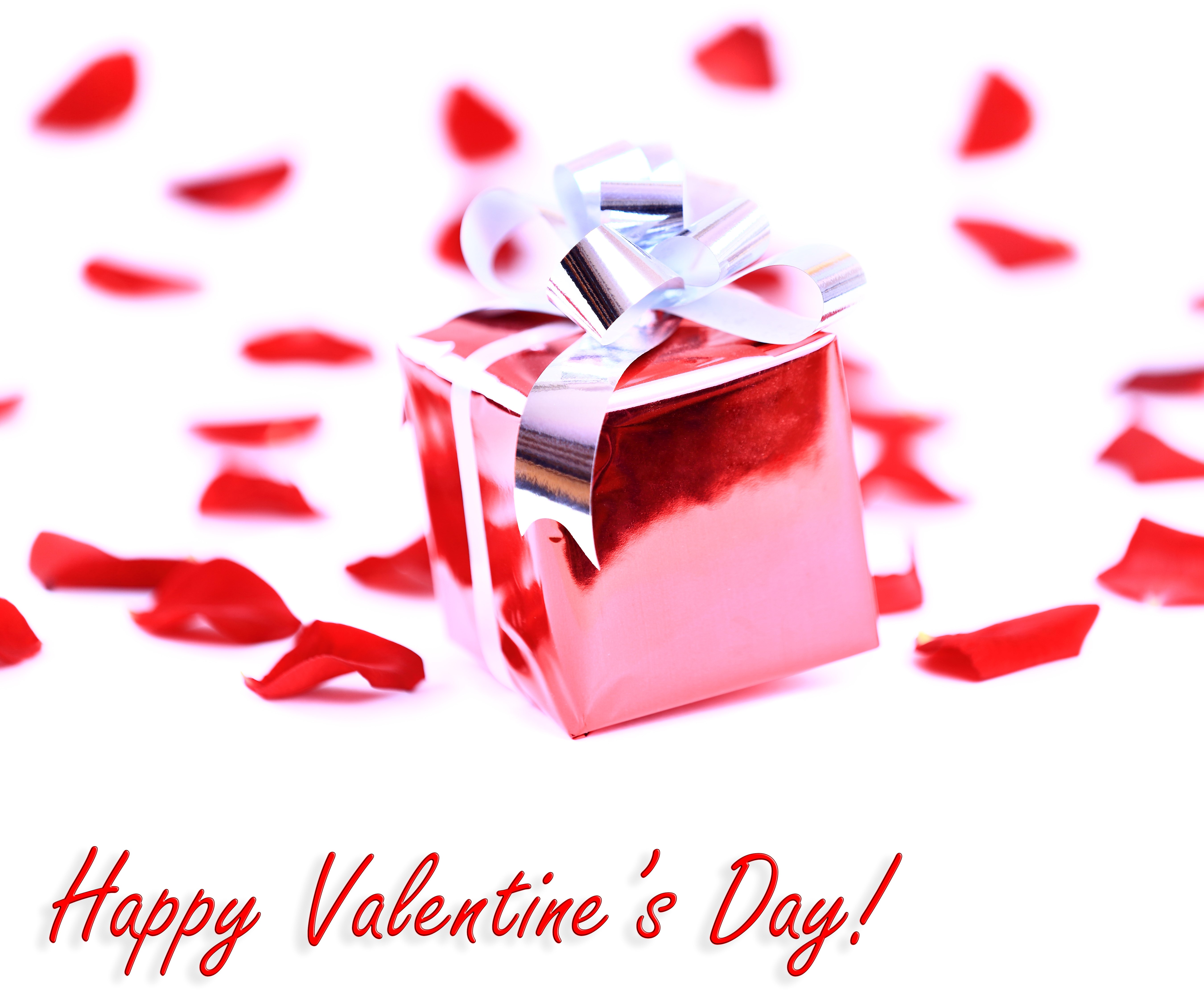 Valentine's Day Gift with Red Rose Petals HD Wallpaper