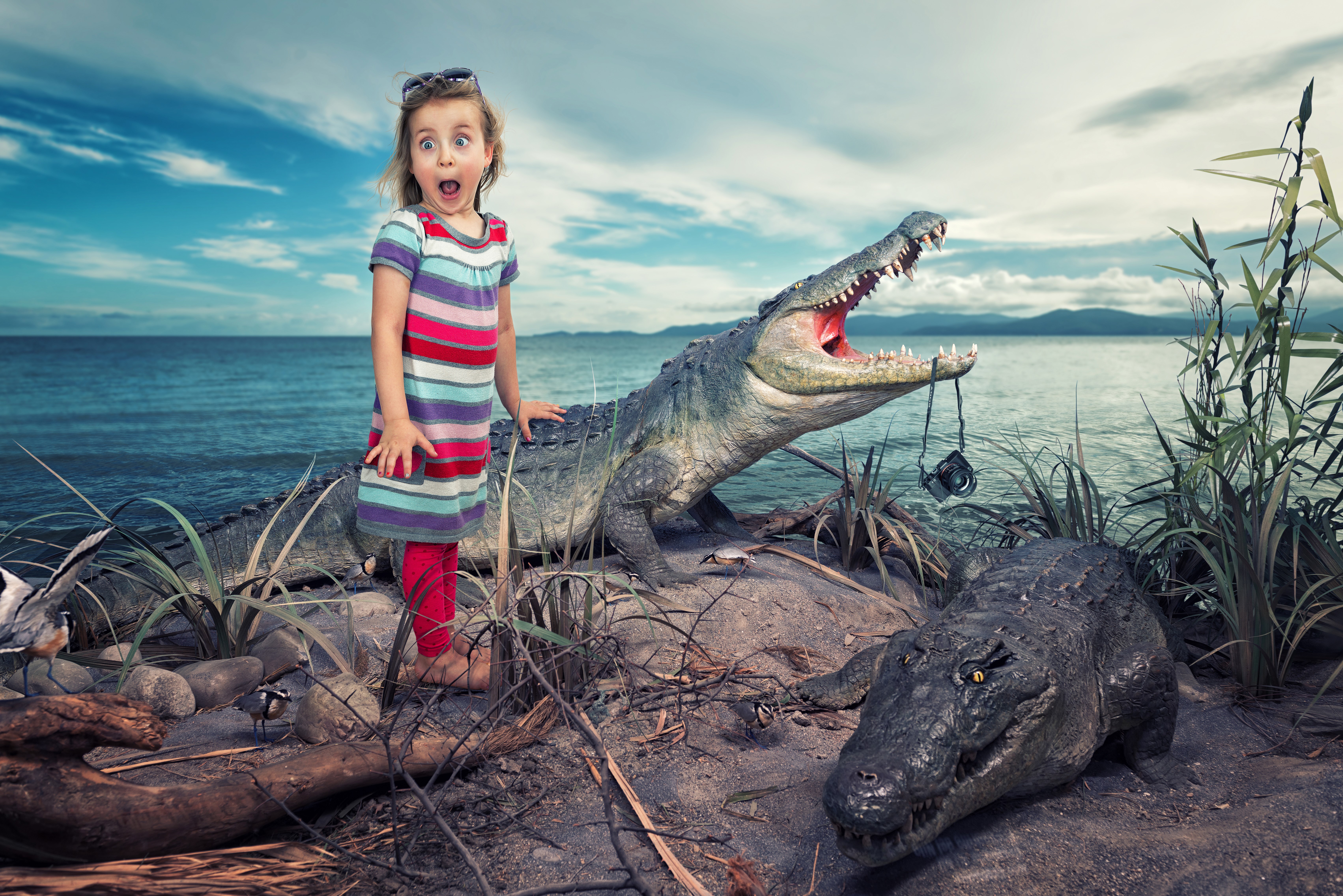 Little girl and crocodiles on a beach HD Wallpaper