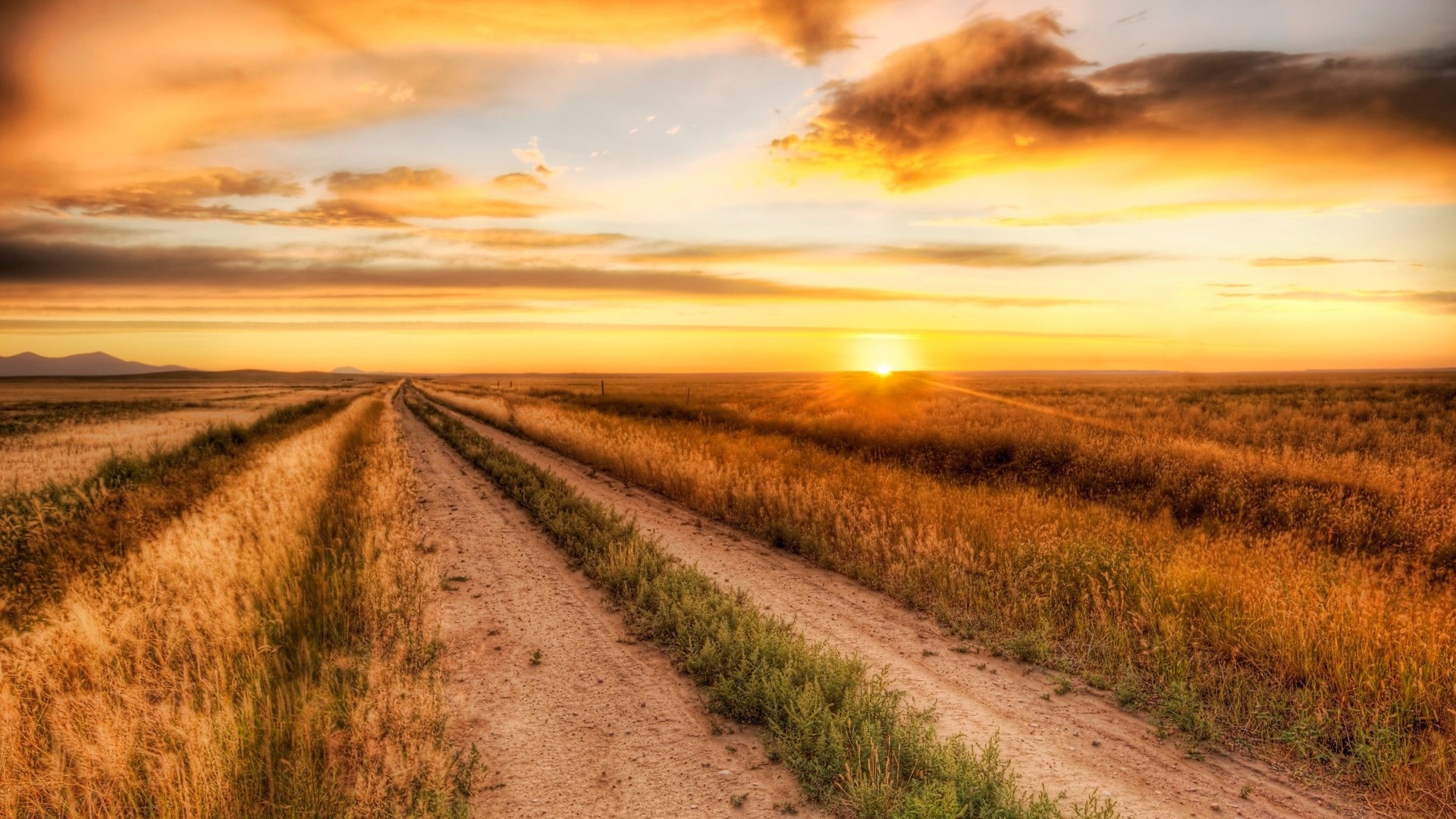 Dirt road through a field at sunset HD Wallpaper