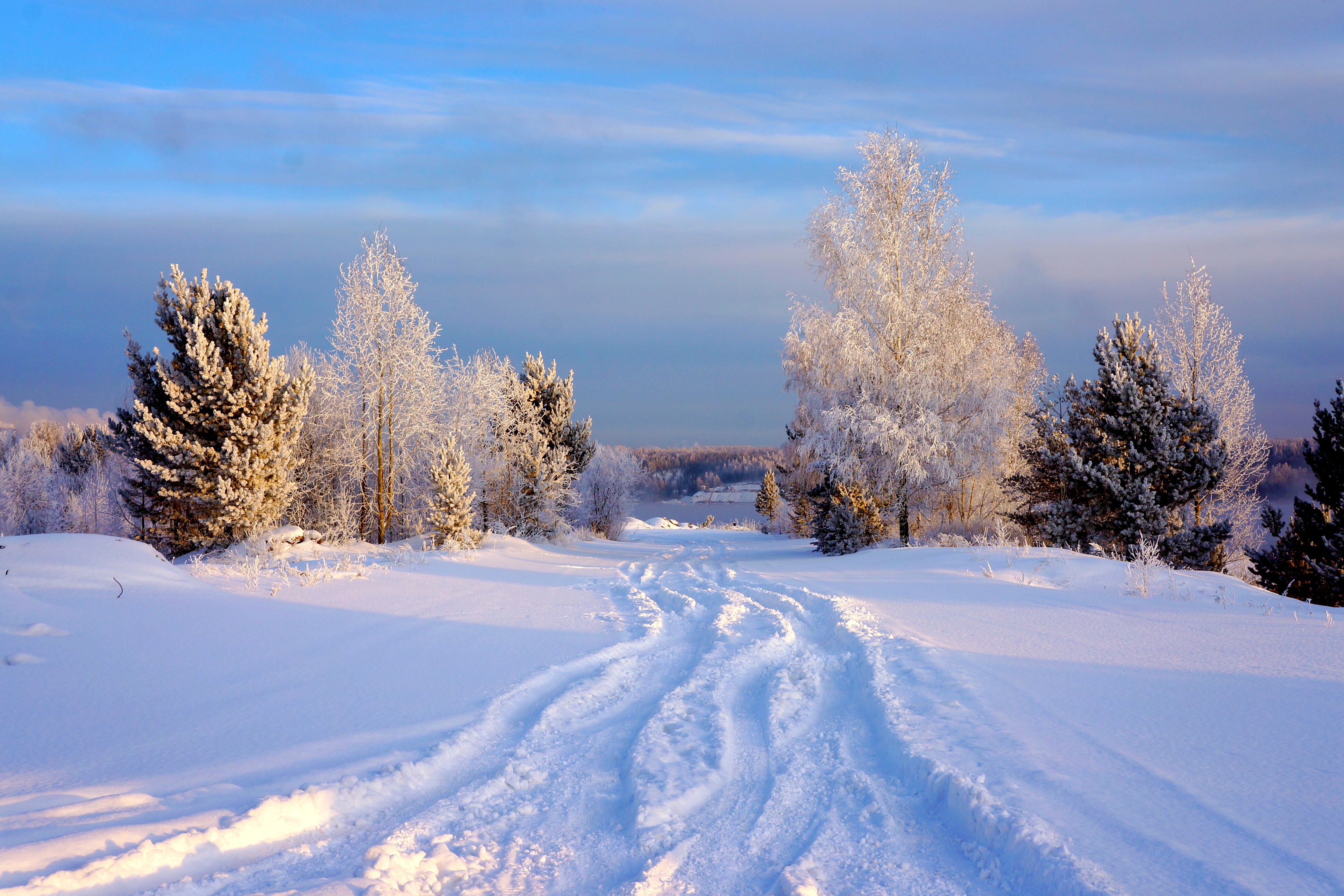 Winter landscape with snow-covered trees and a snowy path HD Wallpaper