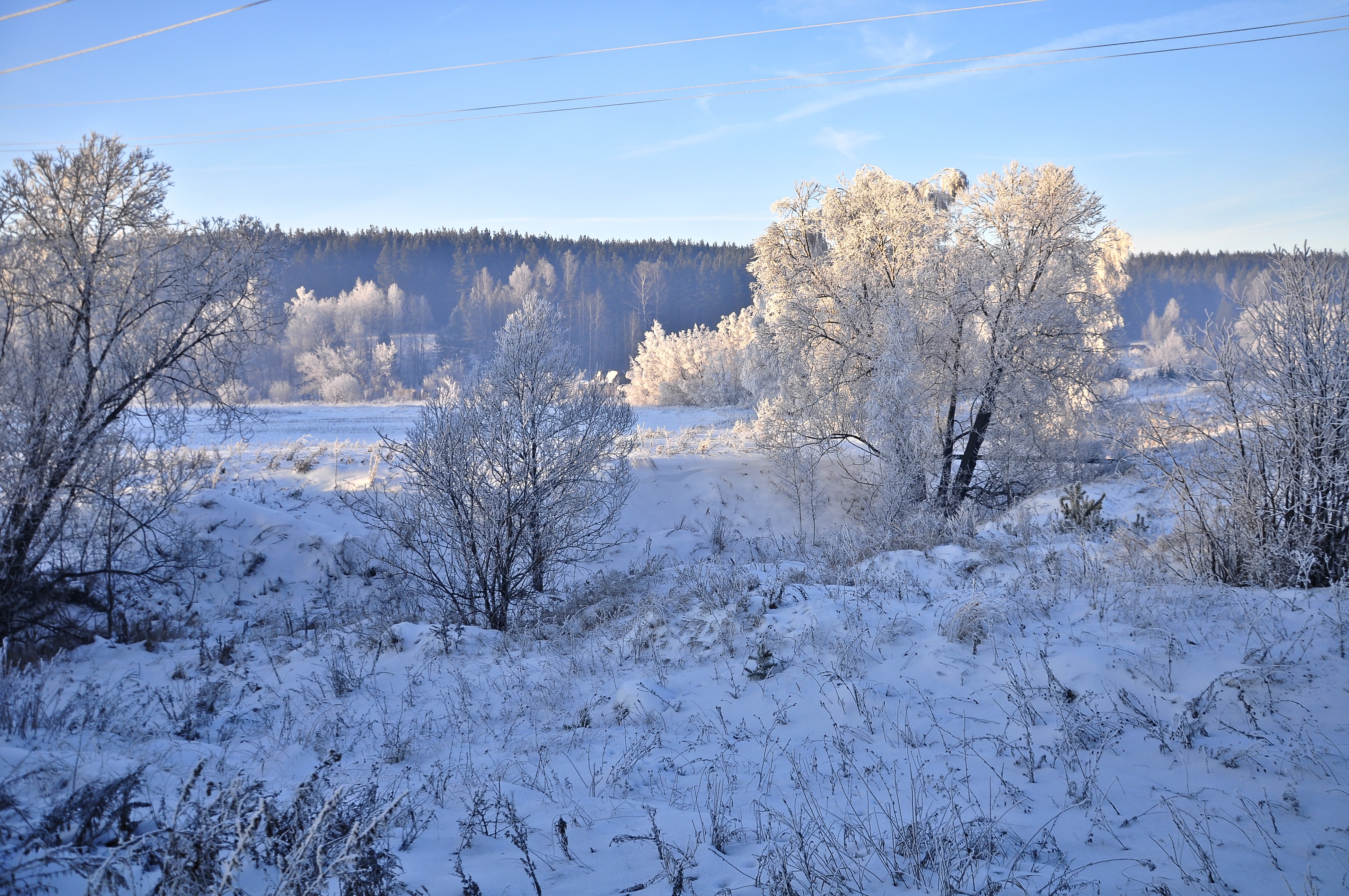 Winter landscape with snow-covered trees HD Wallpaper