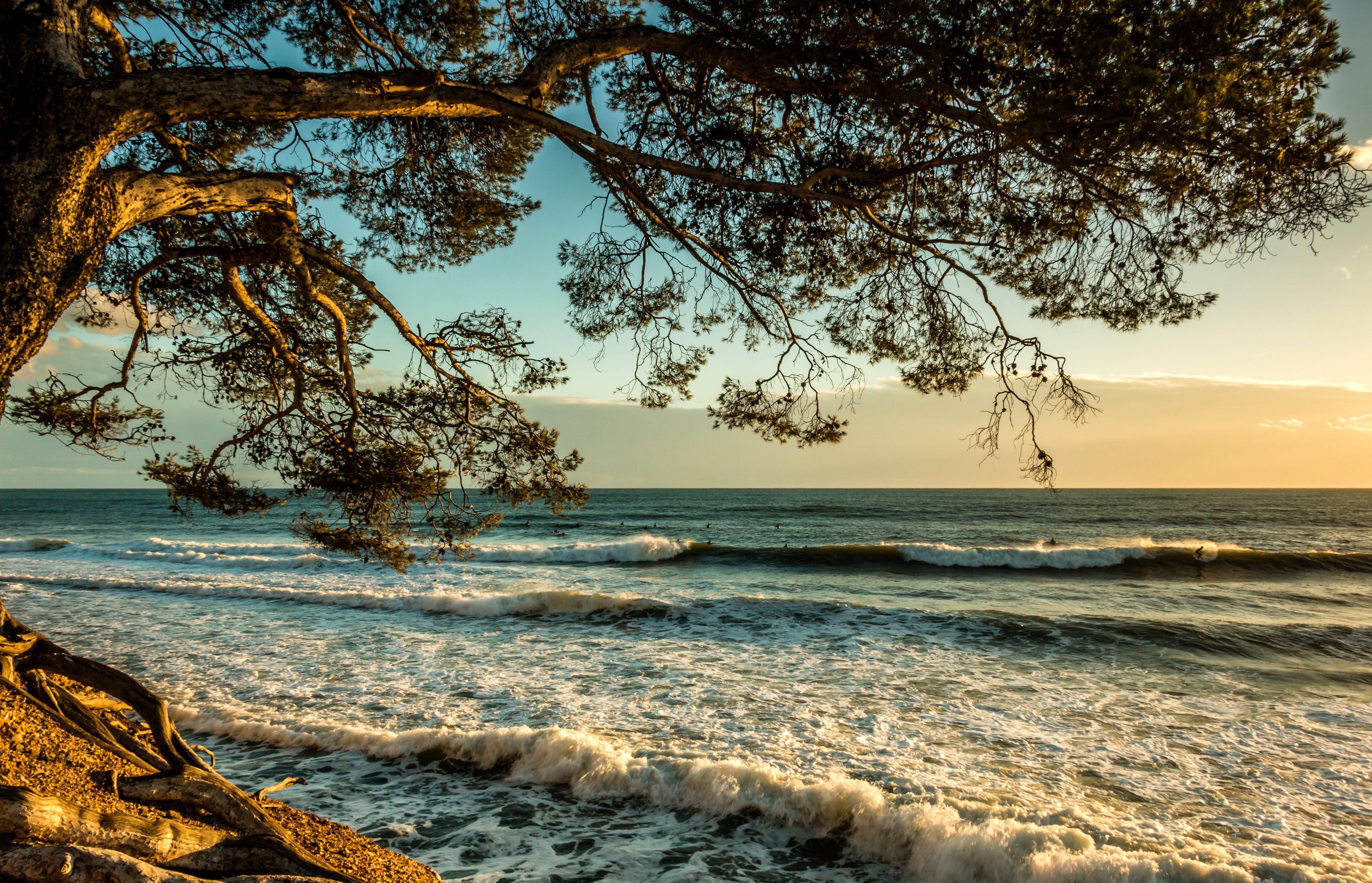 Waves crashing on the shore under a tree in Liouquet, France HD Wallpaper