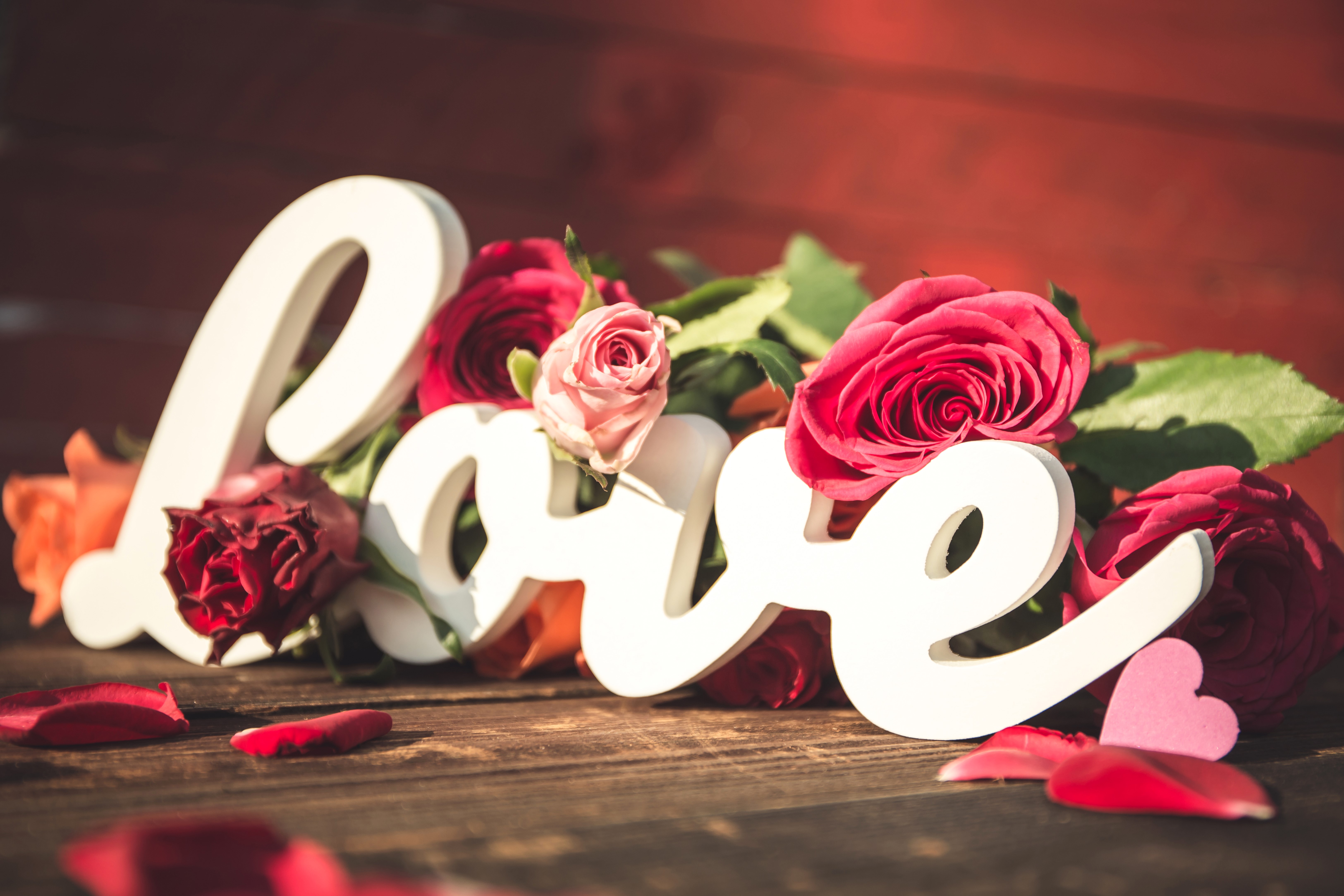 Love sign with roses and petals HD Wallpaper