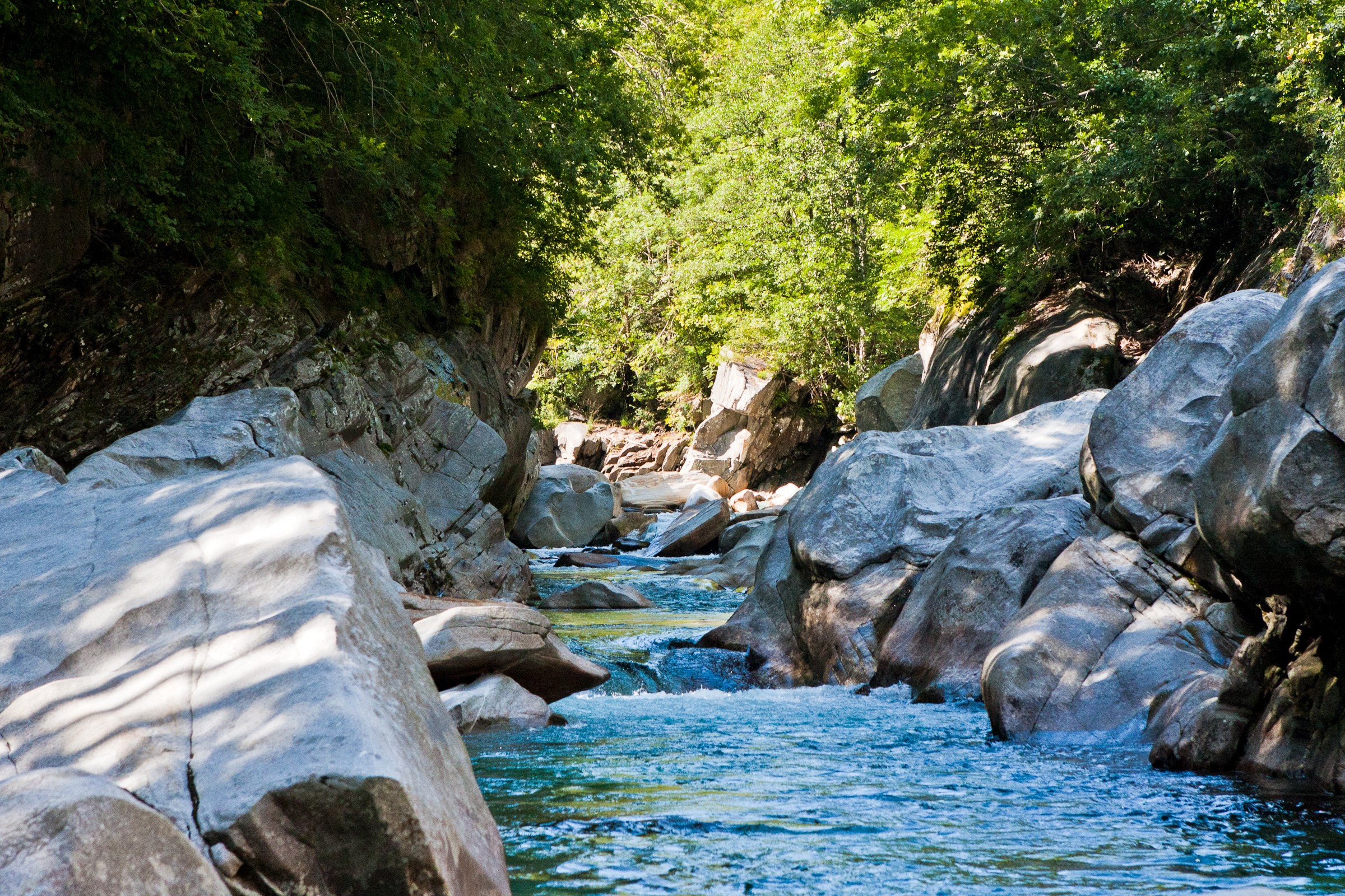 River flowing through rocky gorge with trees HD Wallpaper
