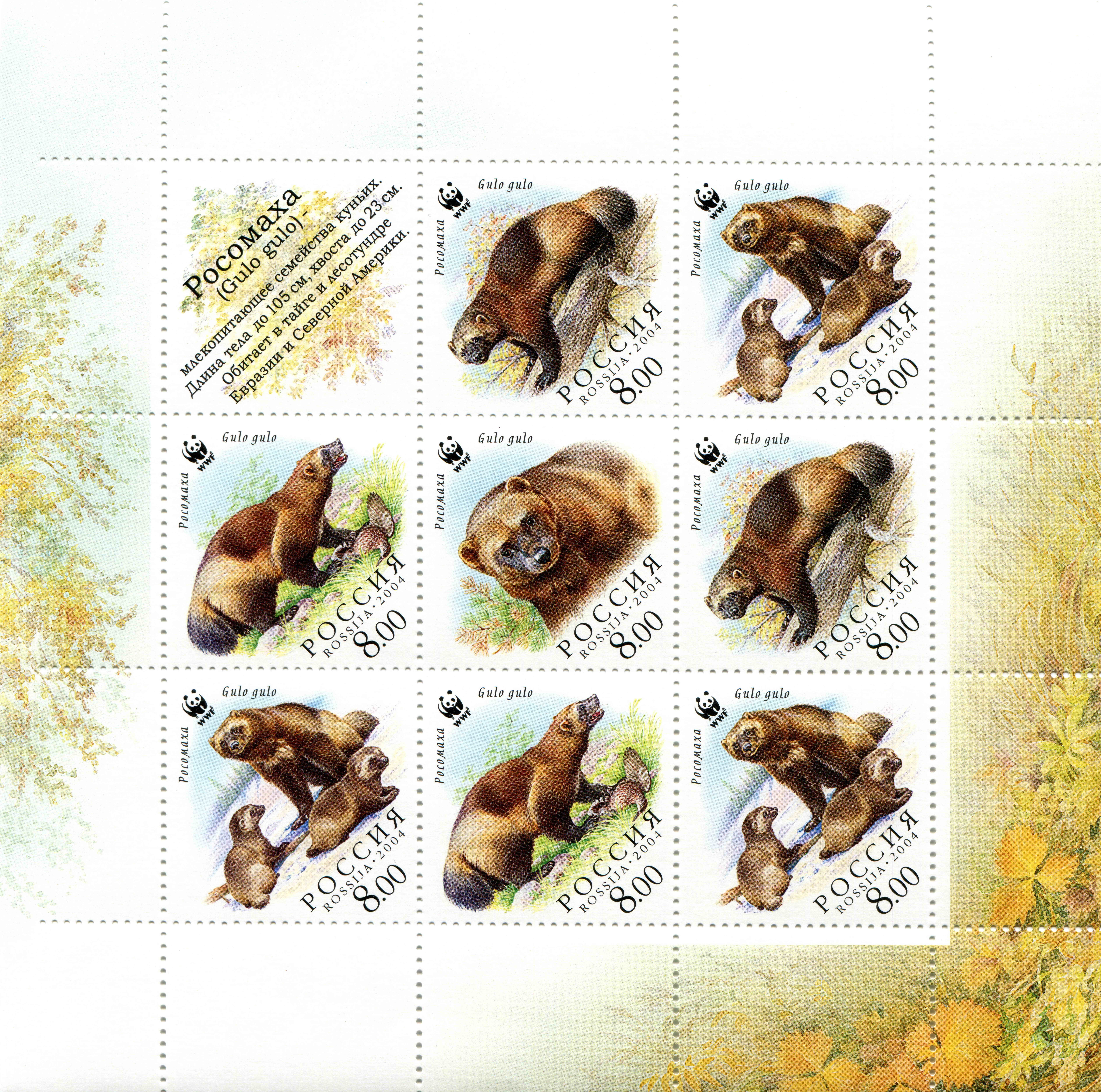 Wolverine Gulo gulo Postage Stamps HD Wallpaper