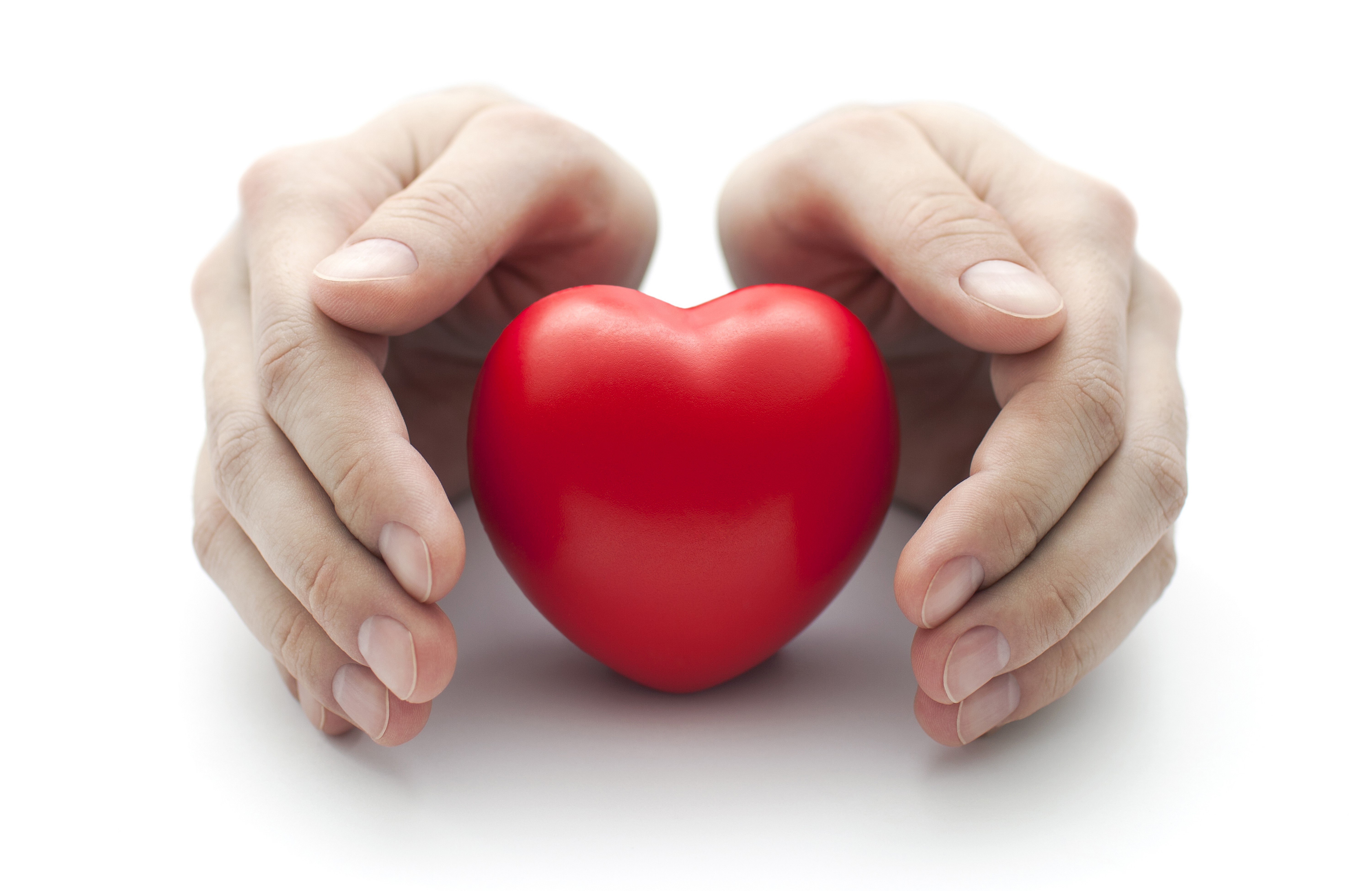 Hands holding a red heart HD Wallpaper