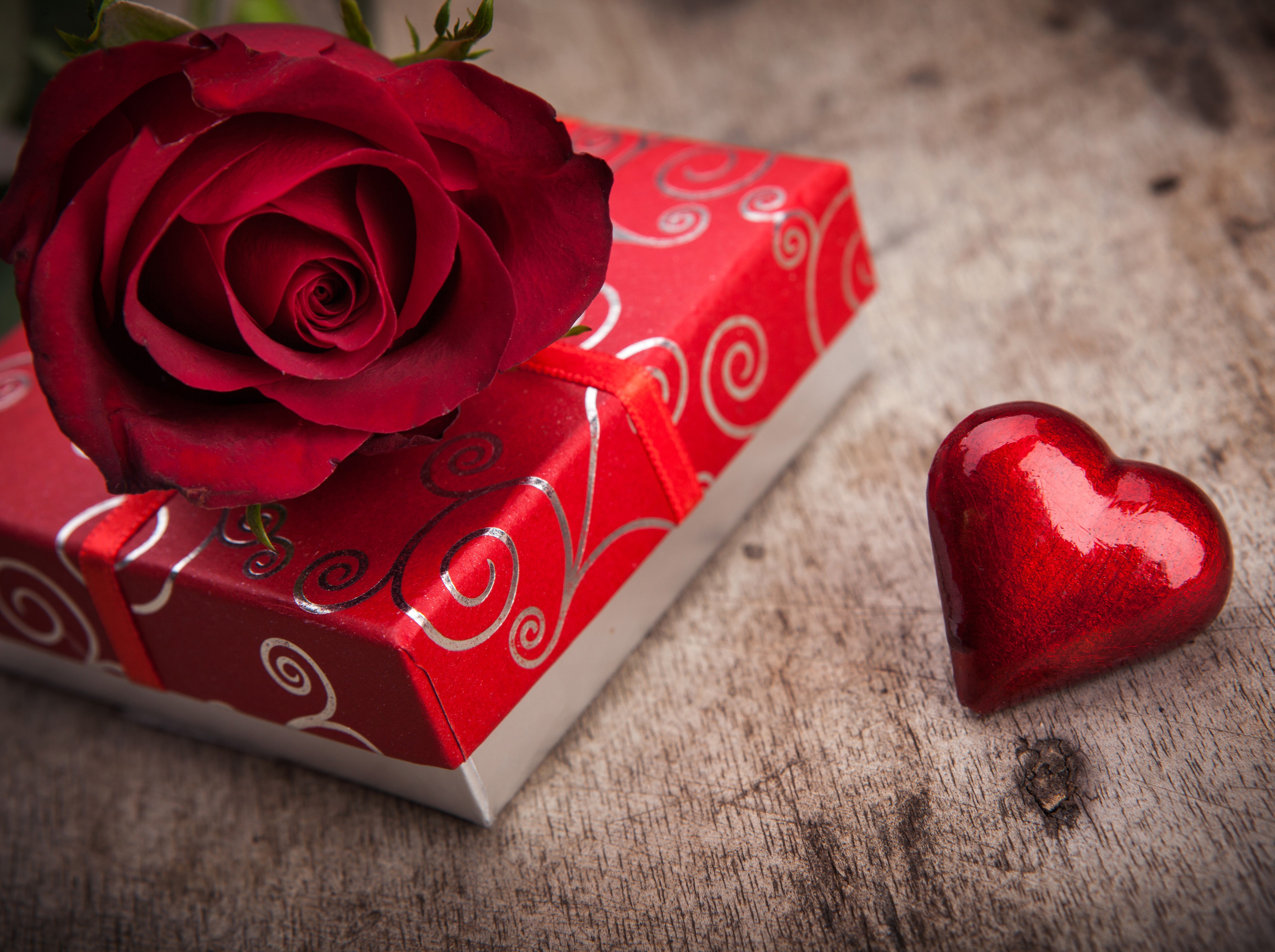 Red rose on gift box with heart HD Wallpaper