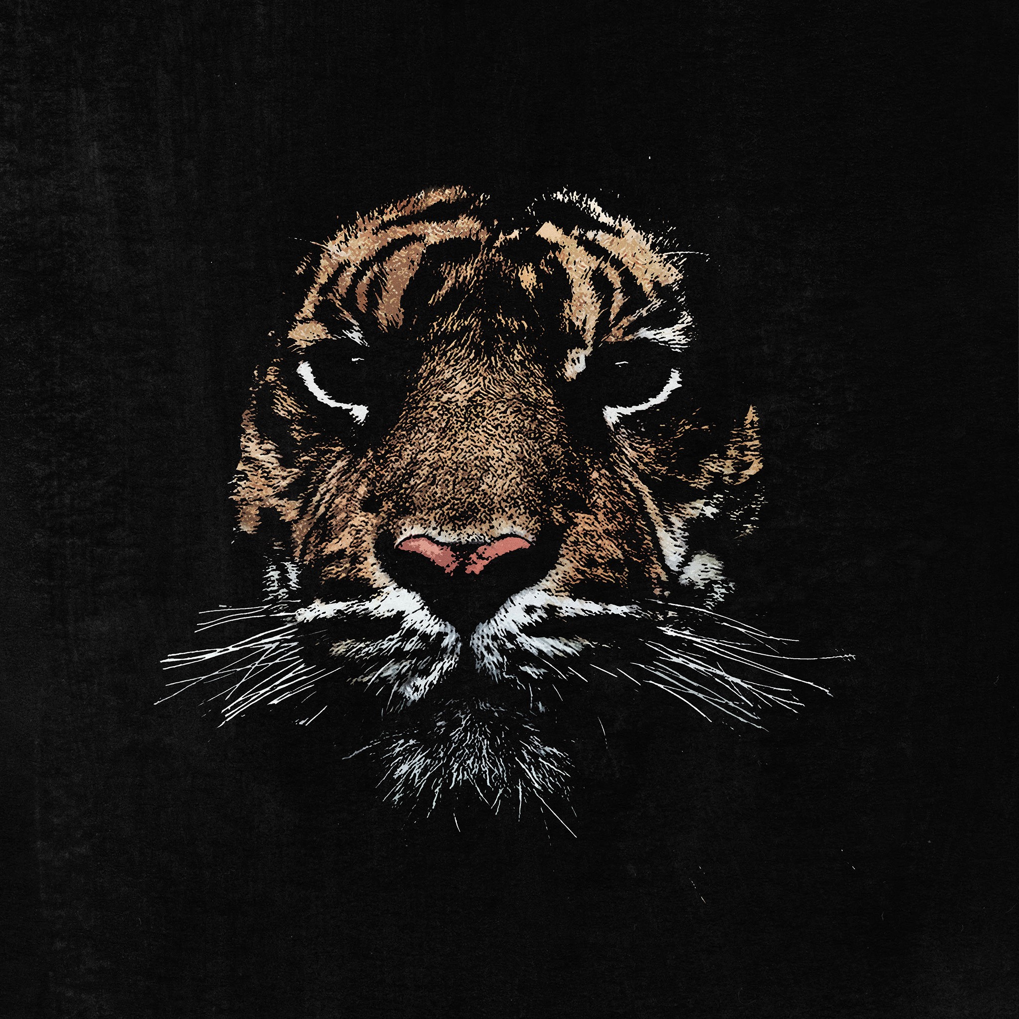 Tiger face with black background HD Wallpaper