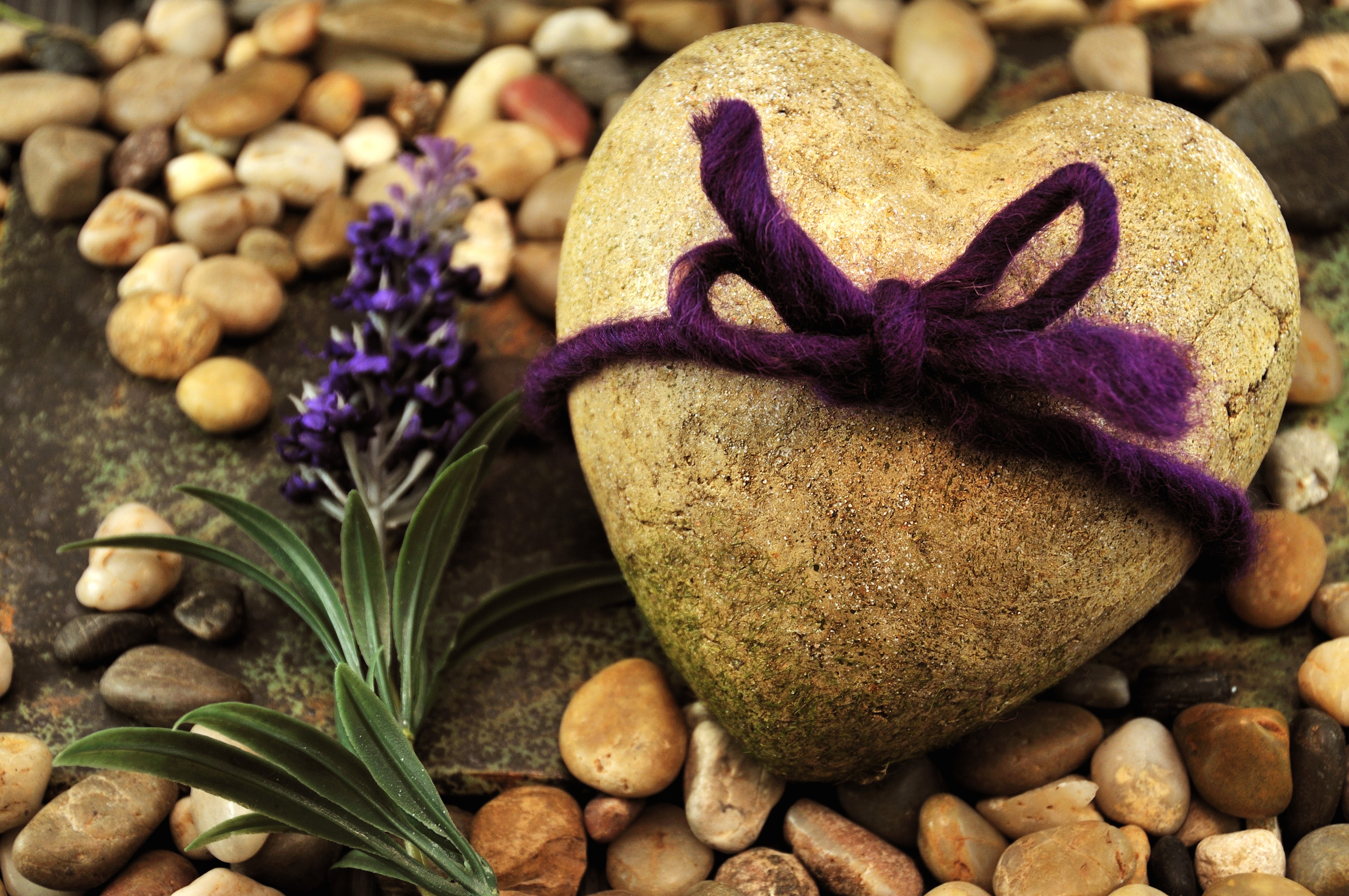 Heart-shaped stone with purple bow and lavender HD Wallpaper