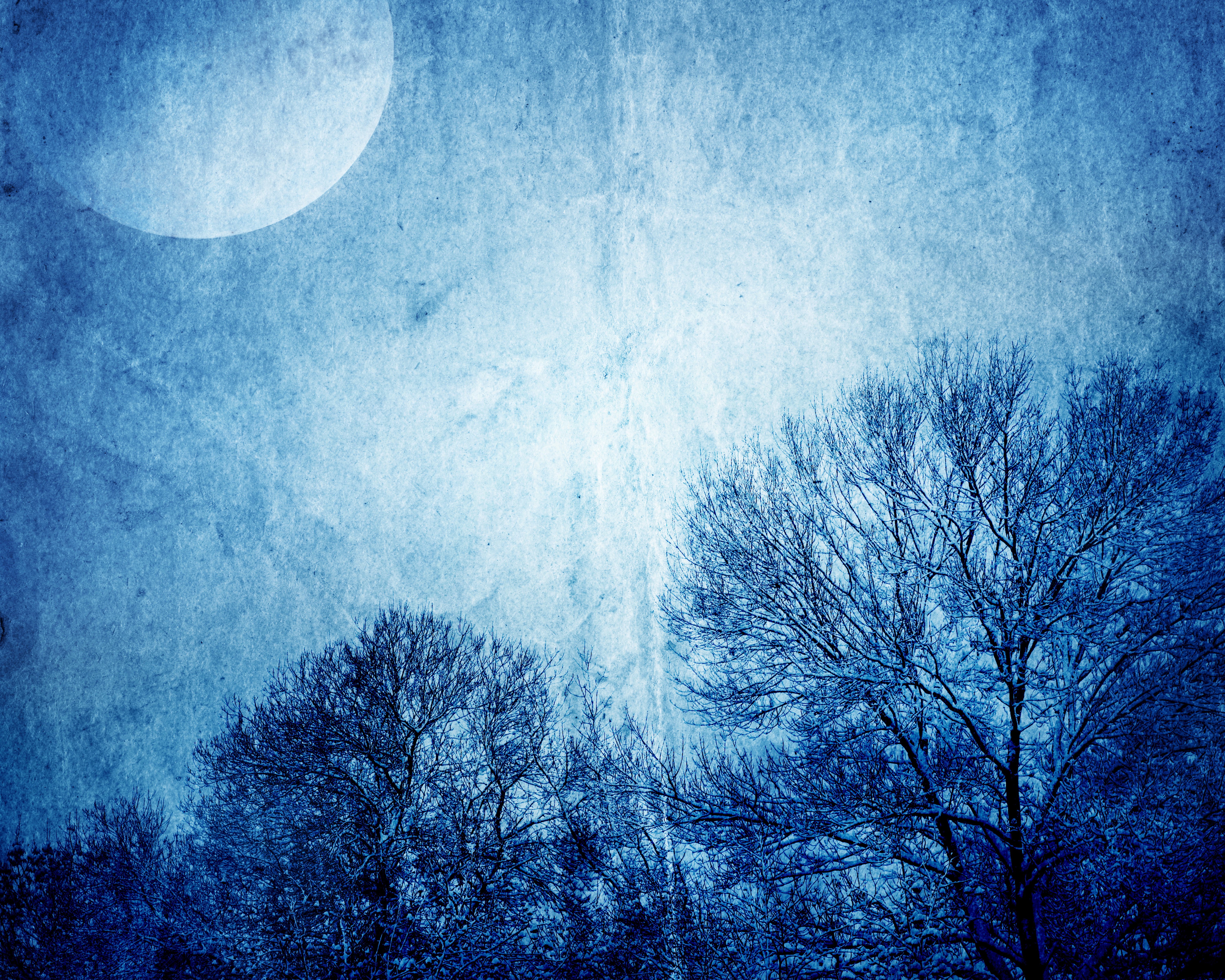Moonlit Night Sky with Bare Tree Branches HD Wallpaper