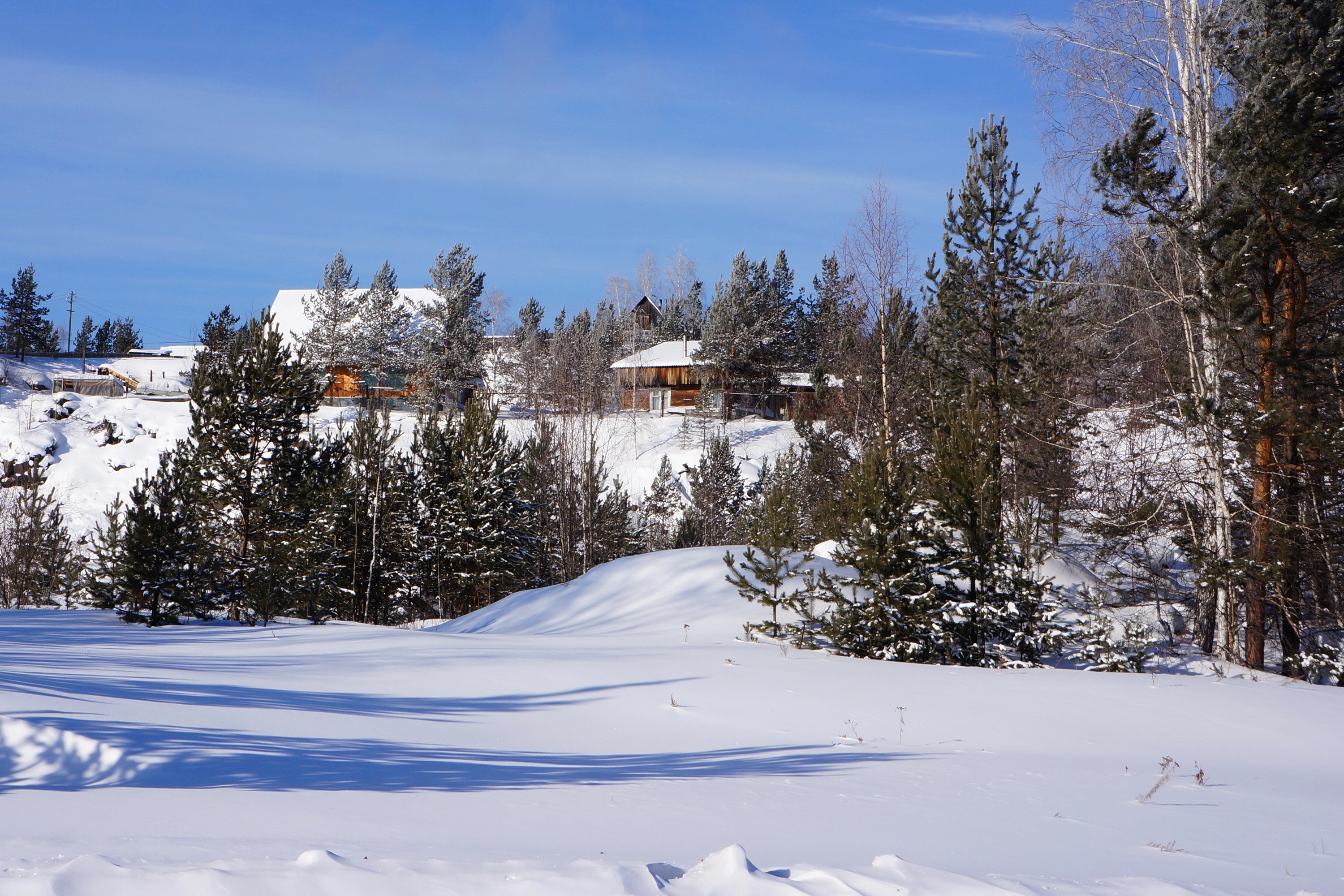 Winter landscape with snow-covered trees and houses HD Wallpaper