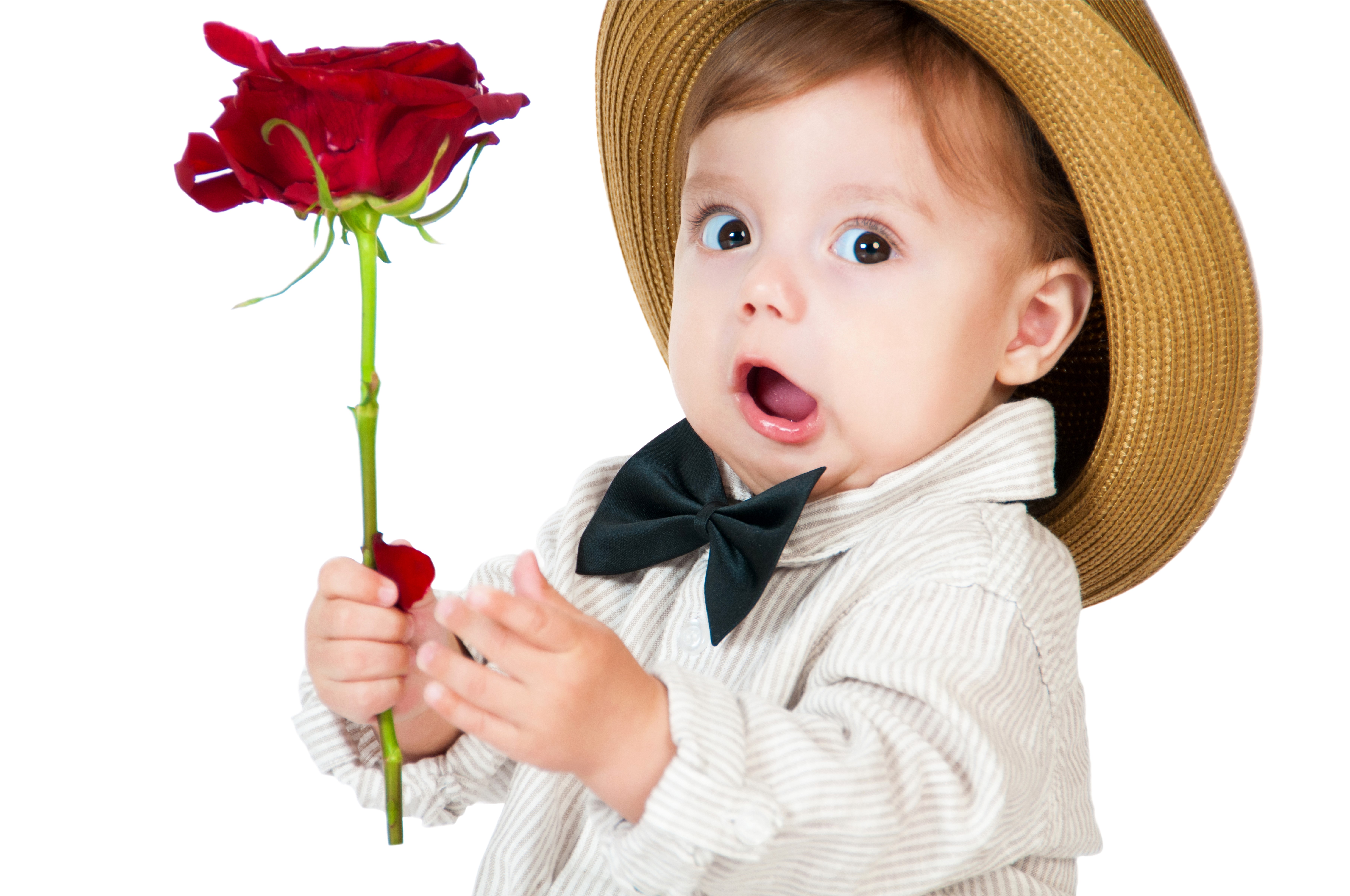 Baby boy in hat holding a red rose HD Wallpaper