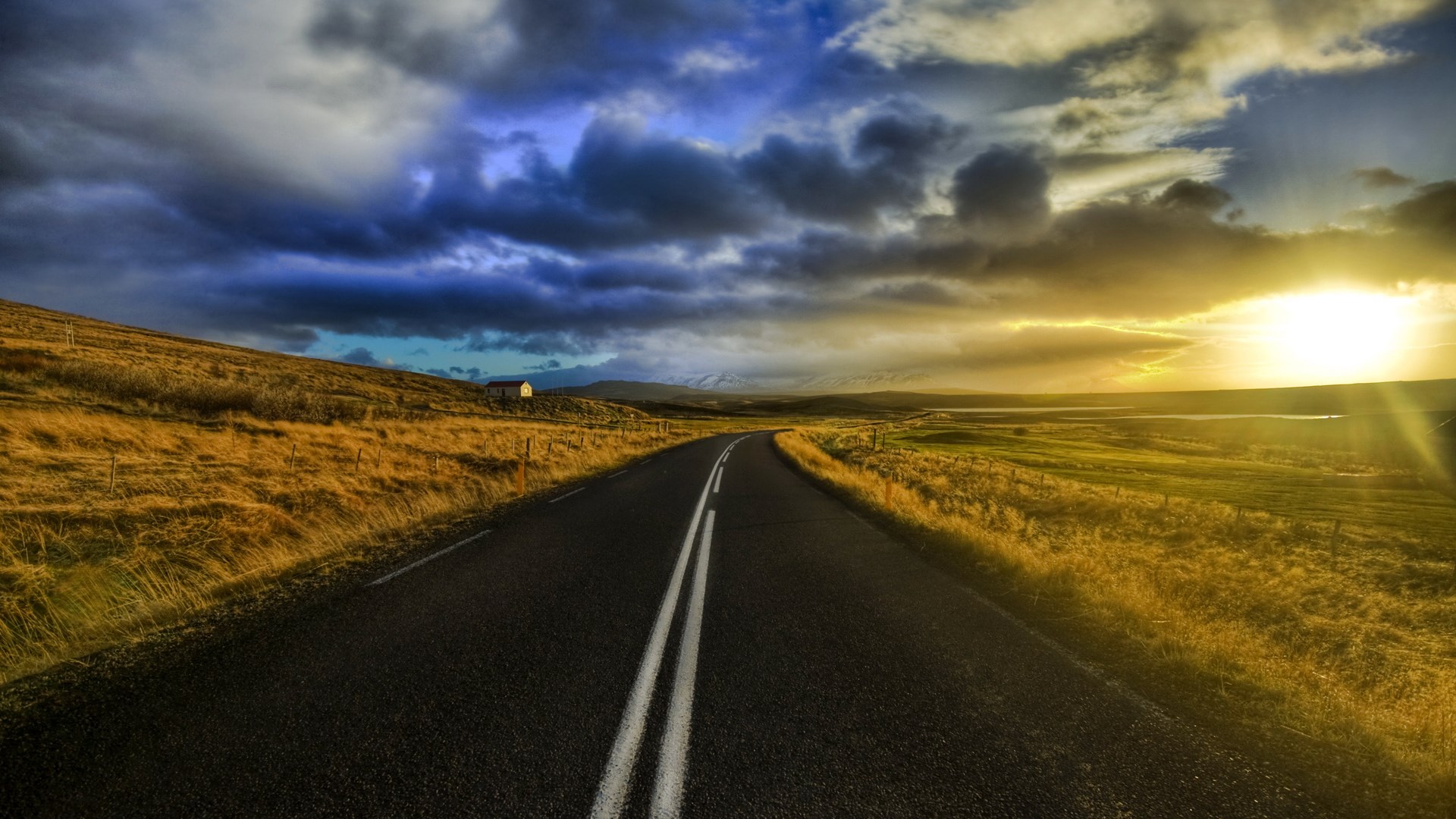 Road through a golden field at sunset HD Wallpaper