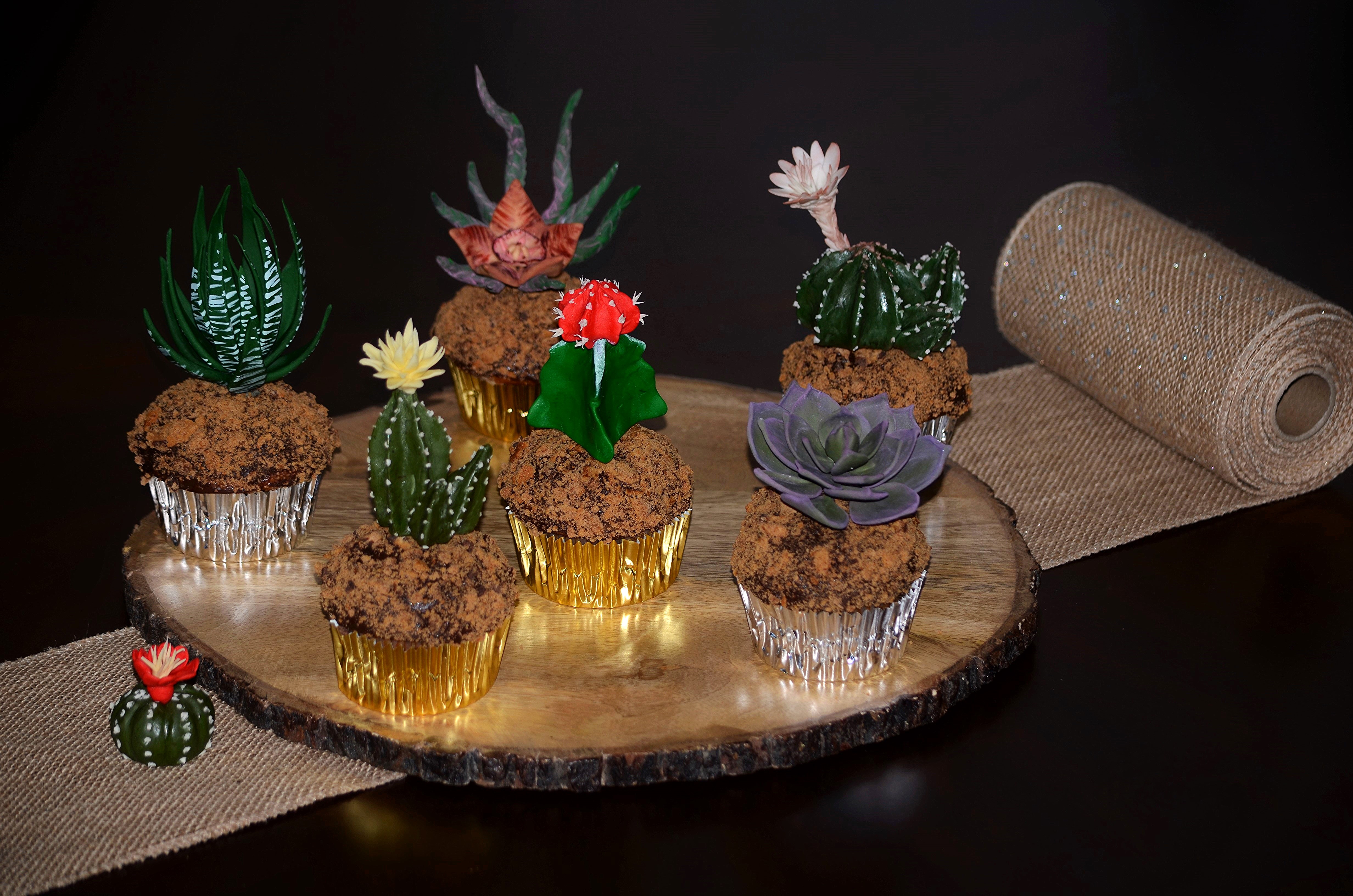 Cactus Cupcakes on a Wooden Platter HD Wallpaper