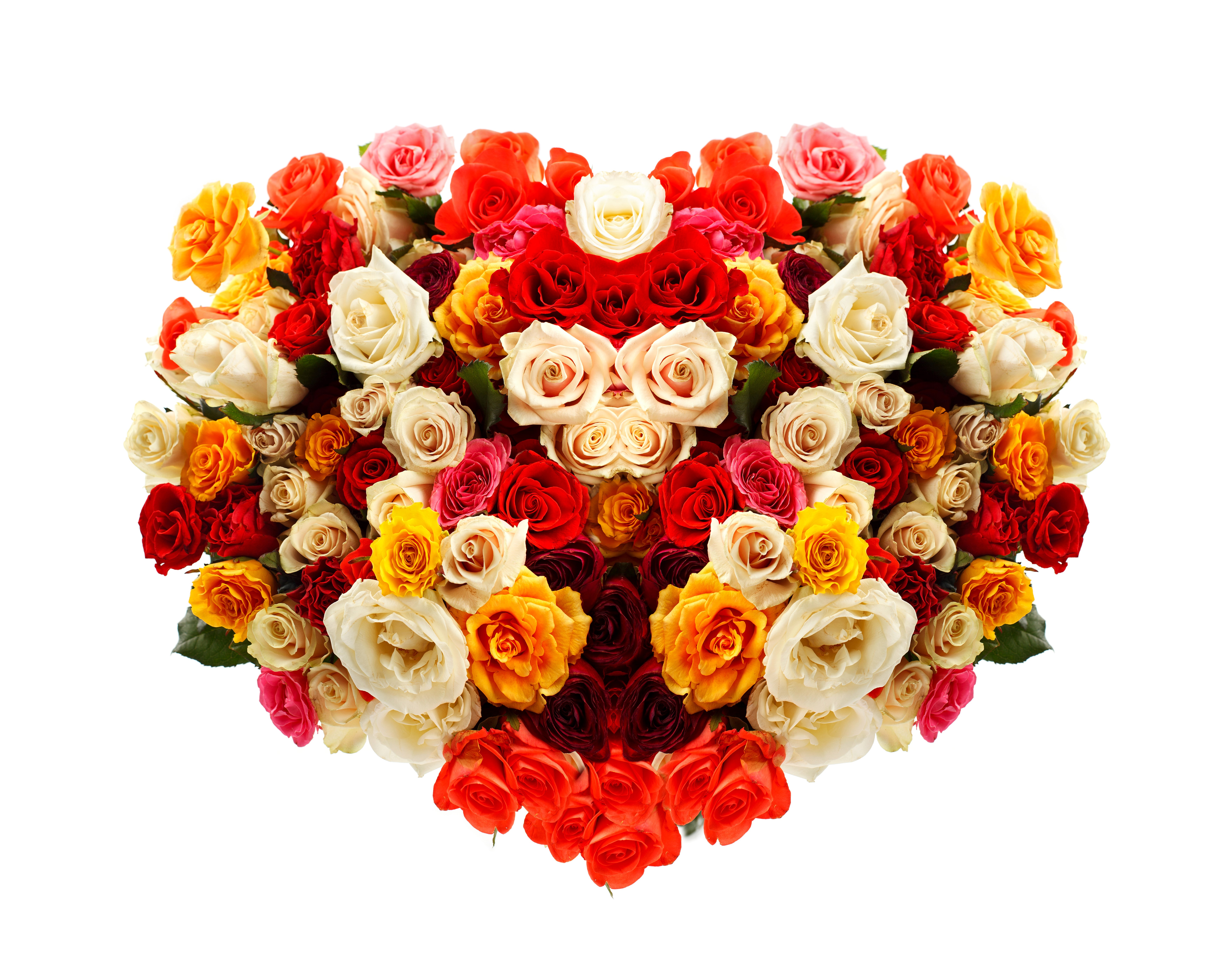 Heart shape bouquet of colorful roses HD Wallpaper