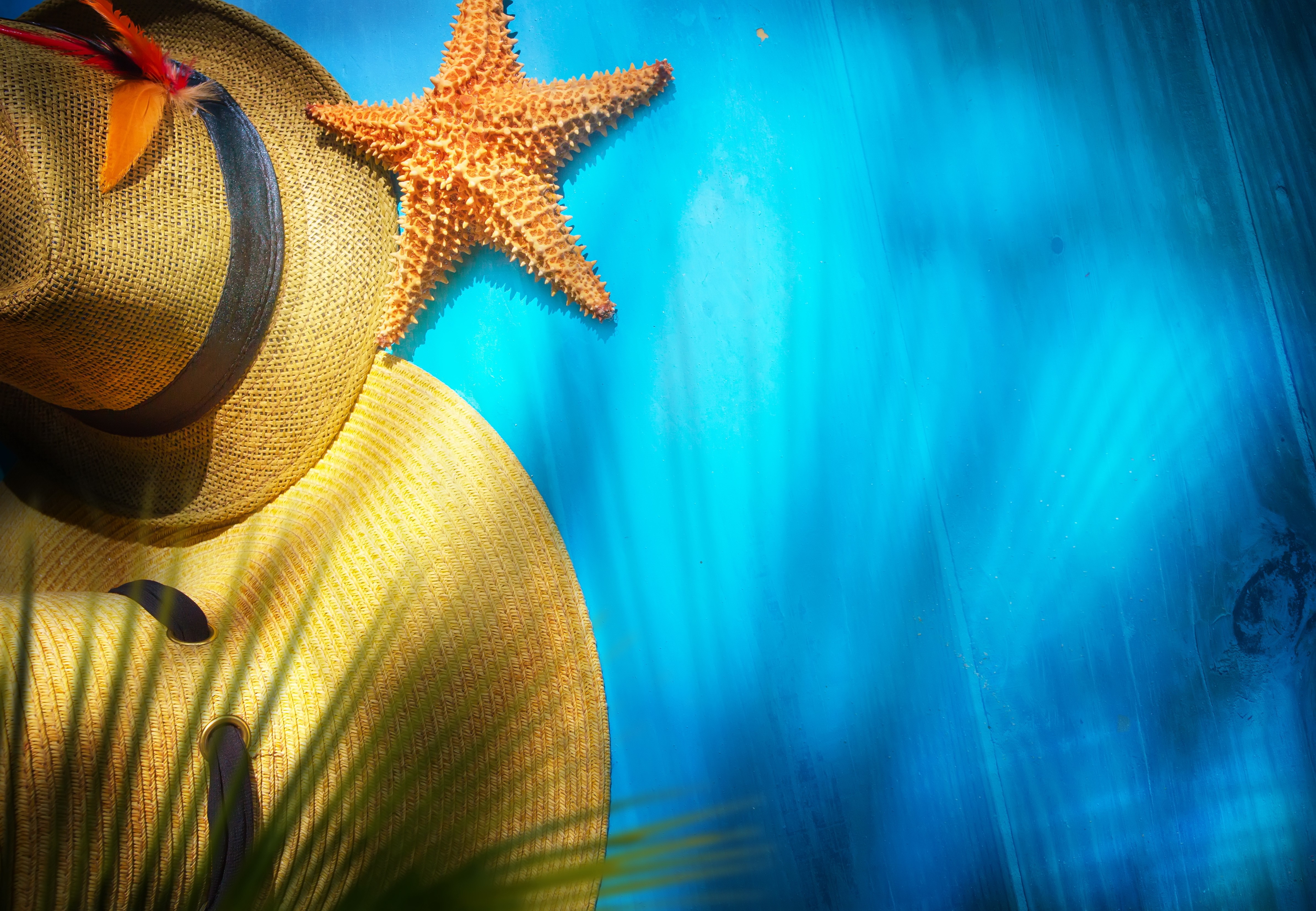 Starfish and Hats on Blue Background HD Wallpaper