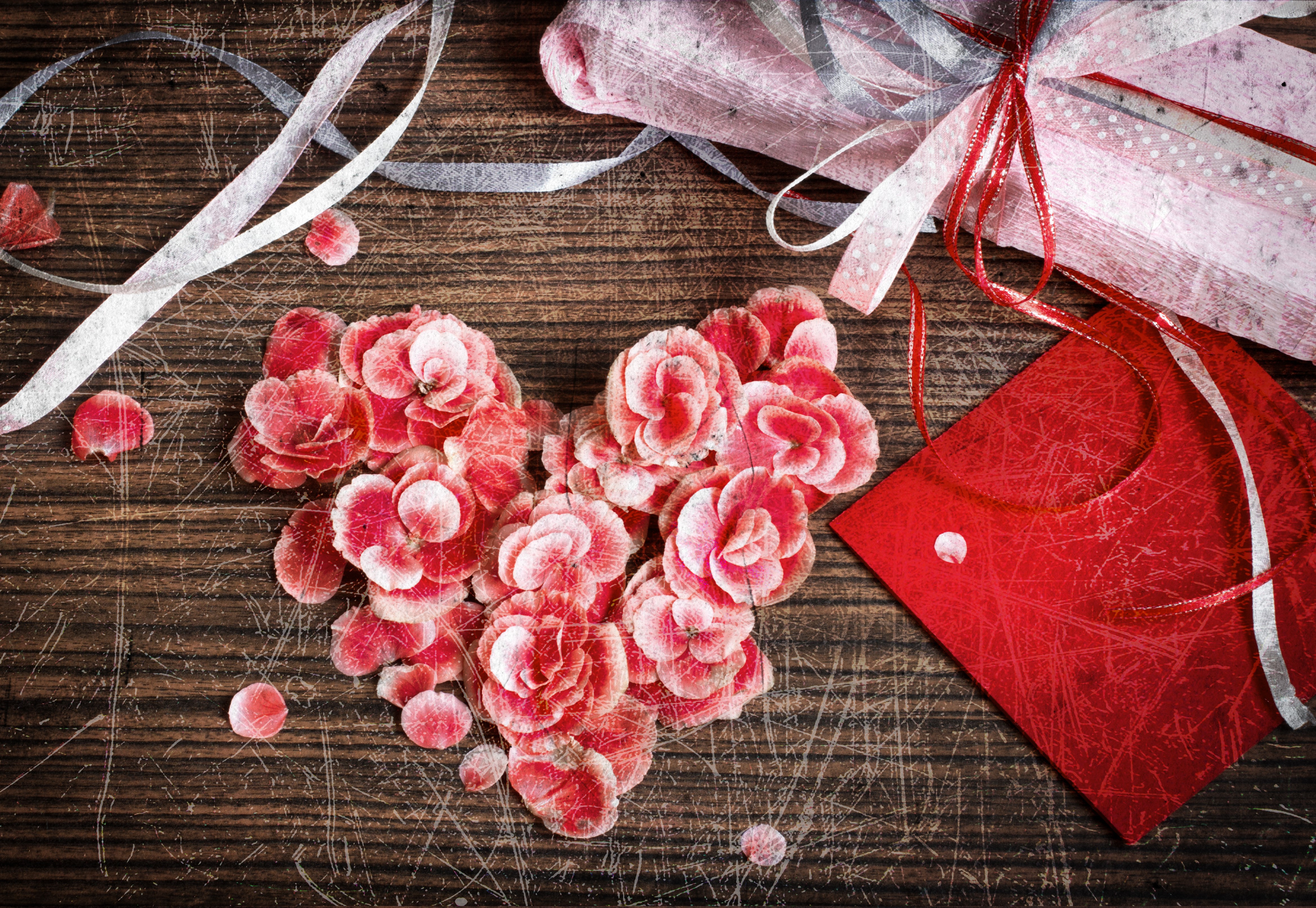 Heart of Begonia Flowers with Gift and Ribbon HD Wallpaper