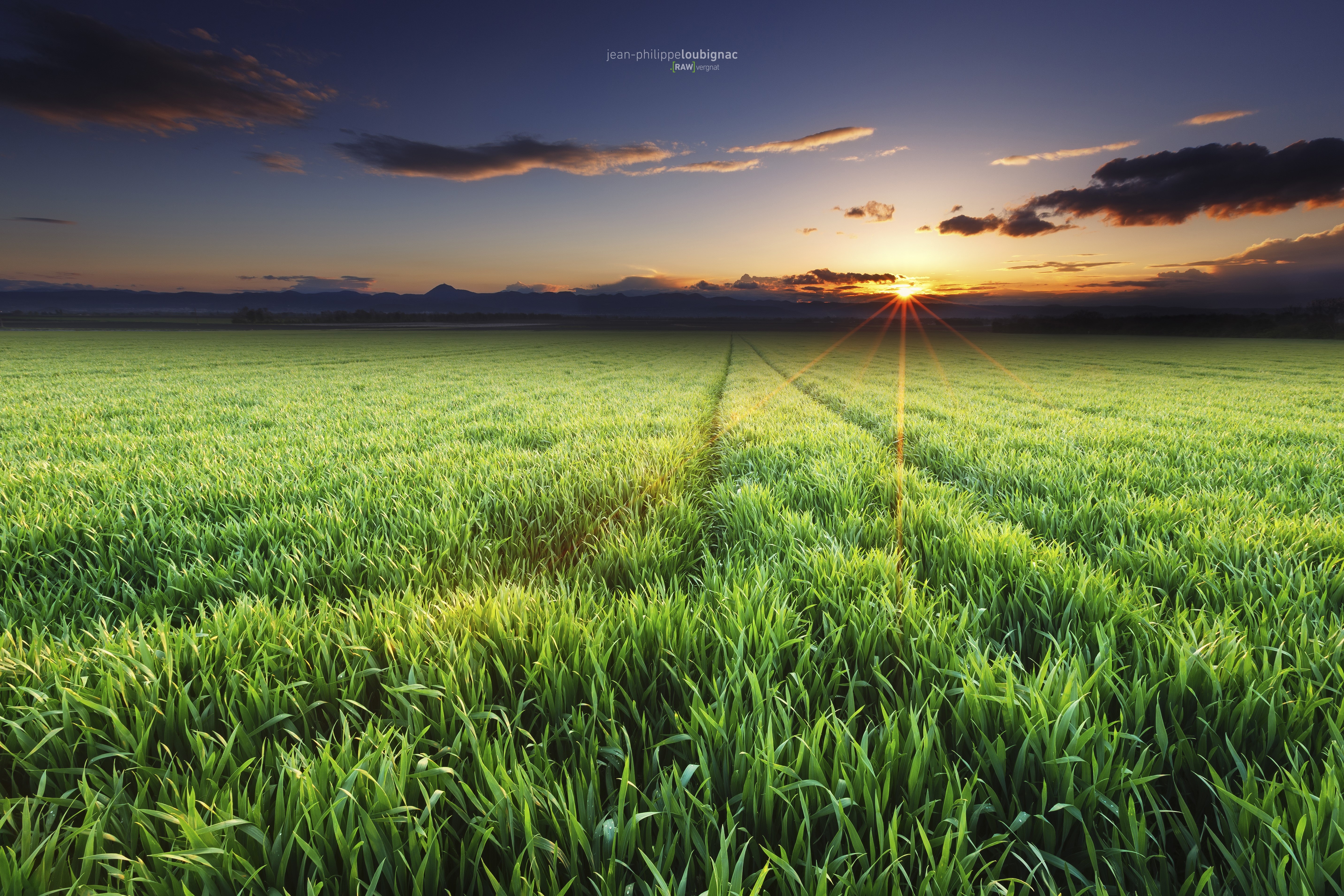 Field at sunset with sunburst HD Wallpaper