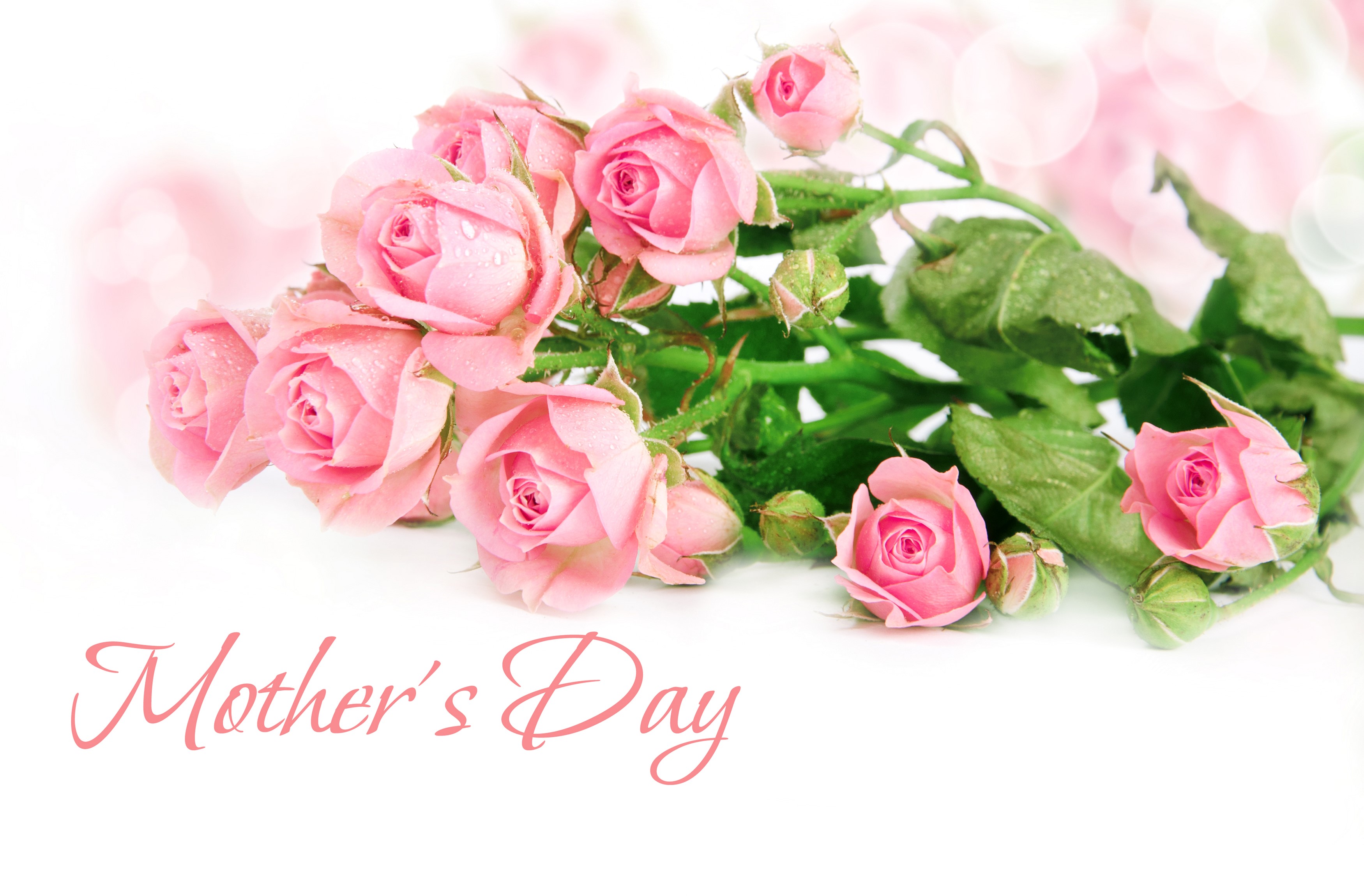 Pink roses with water drops and Mother's Day text HD Wallpaper