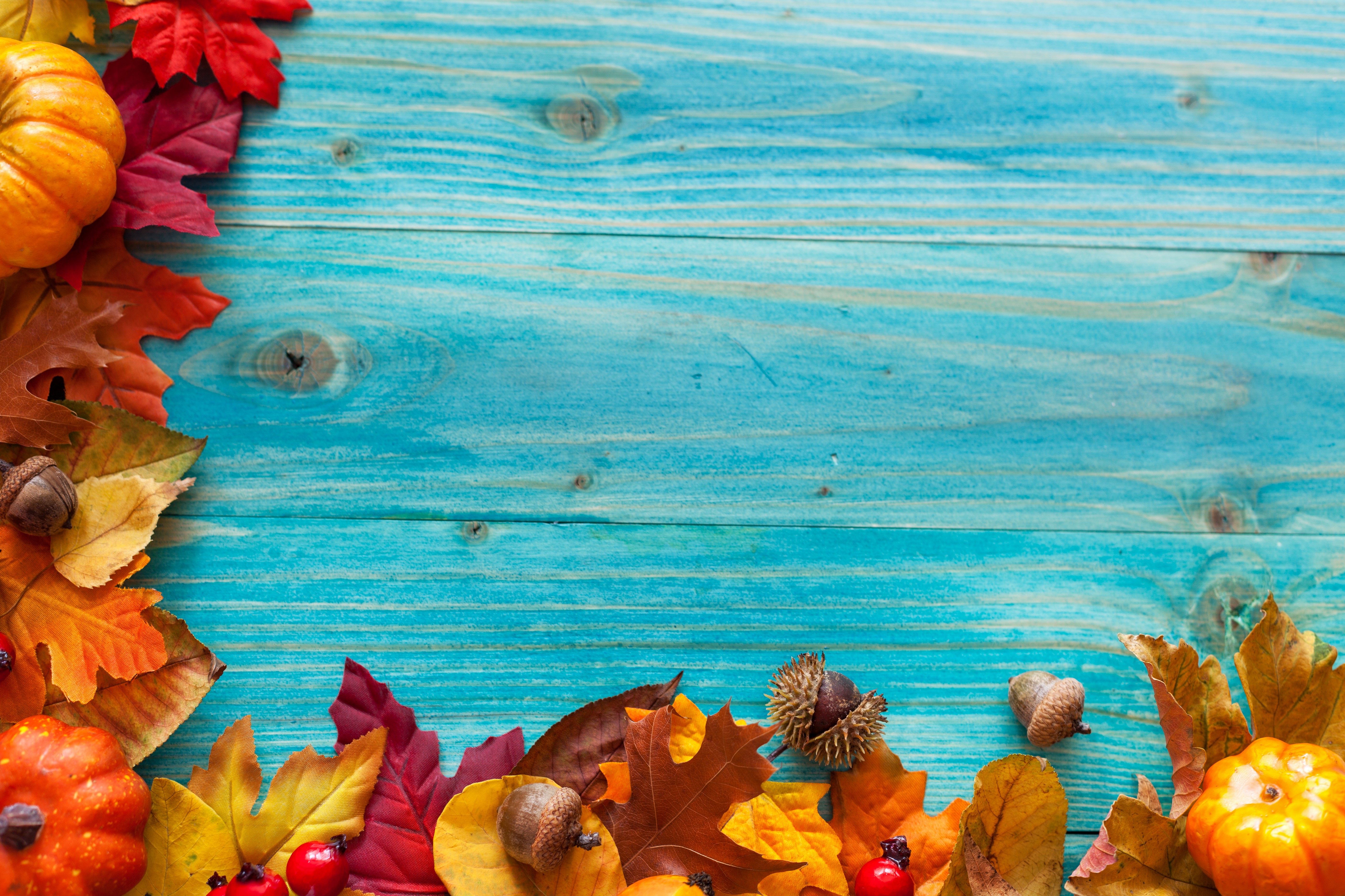 Autumn leaves and pumpkins on blue wood HD Wallpaper