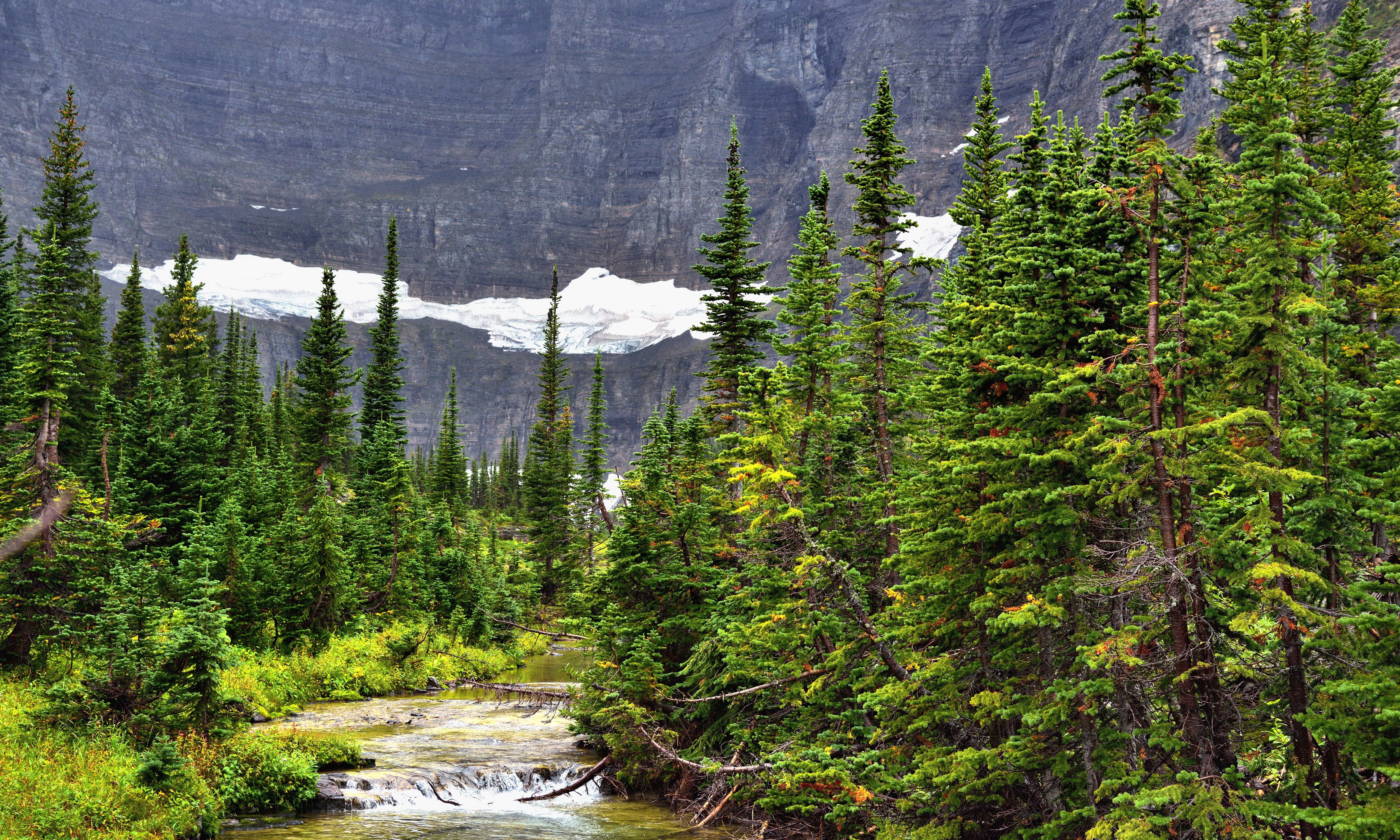Forests and Rivers with Mountain Glacier HD Wallpaper