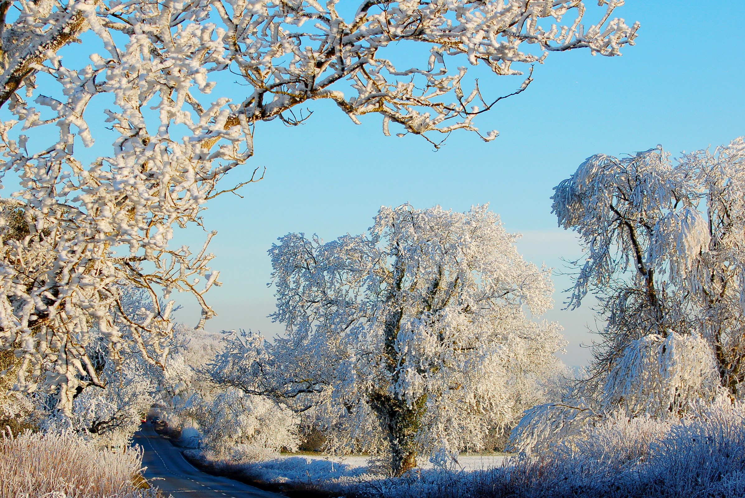 Winter scene with frosted trees and a road HD Wallpaper