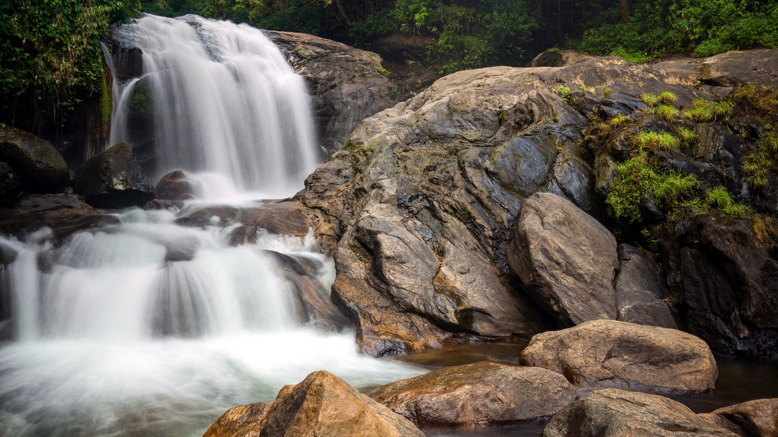 Waterfall cascading over rocks in a forest HD Wallpaper