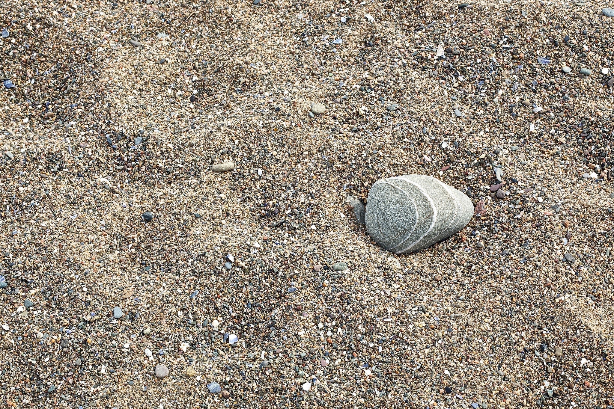 Closeup of a striped stone on a sandy beach HD Wallpaper