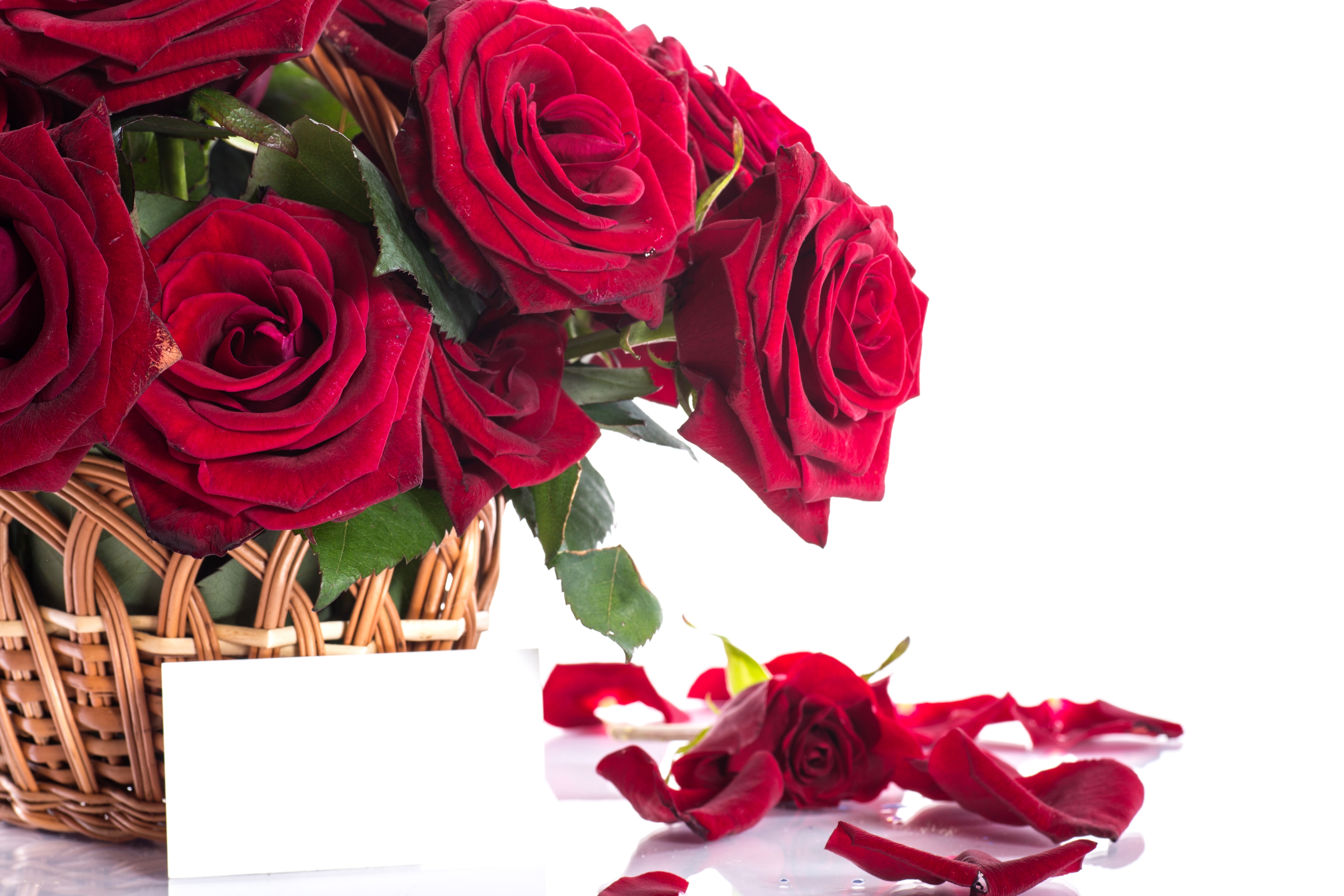 Basket of Wine Colored Roses with Petals HD Wallpaper