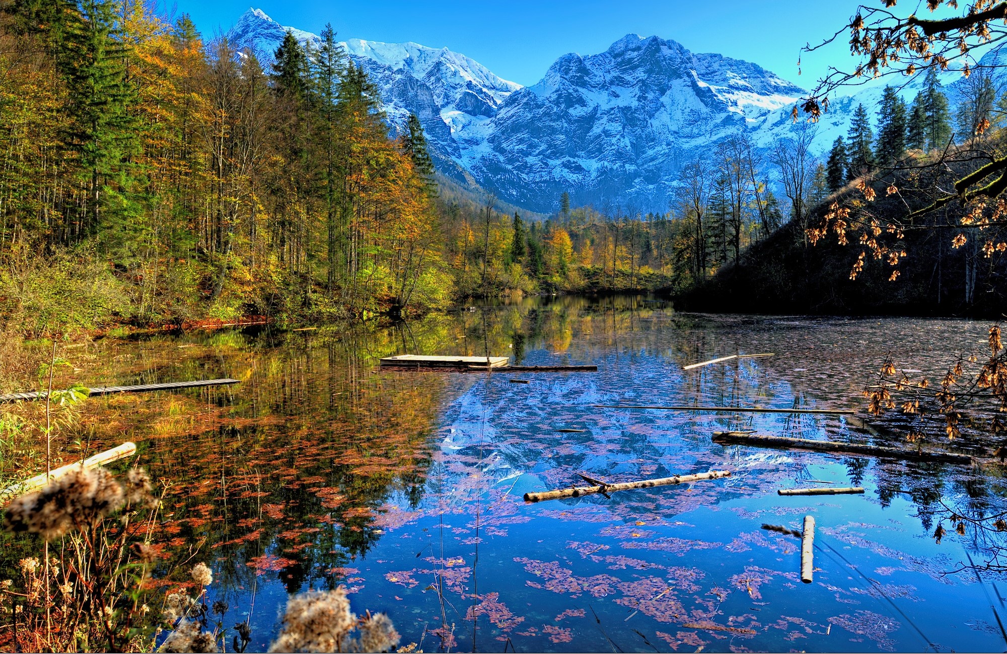 Autumn lake reflection with snow-capped mountains in Austria HD Wallpaper