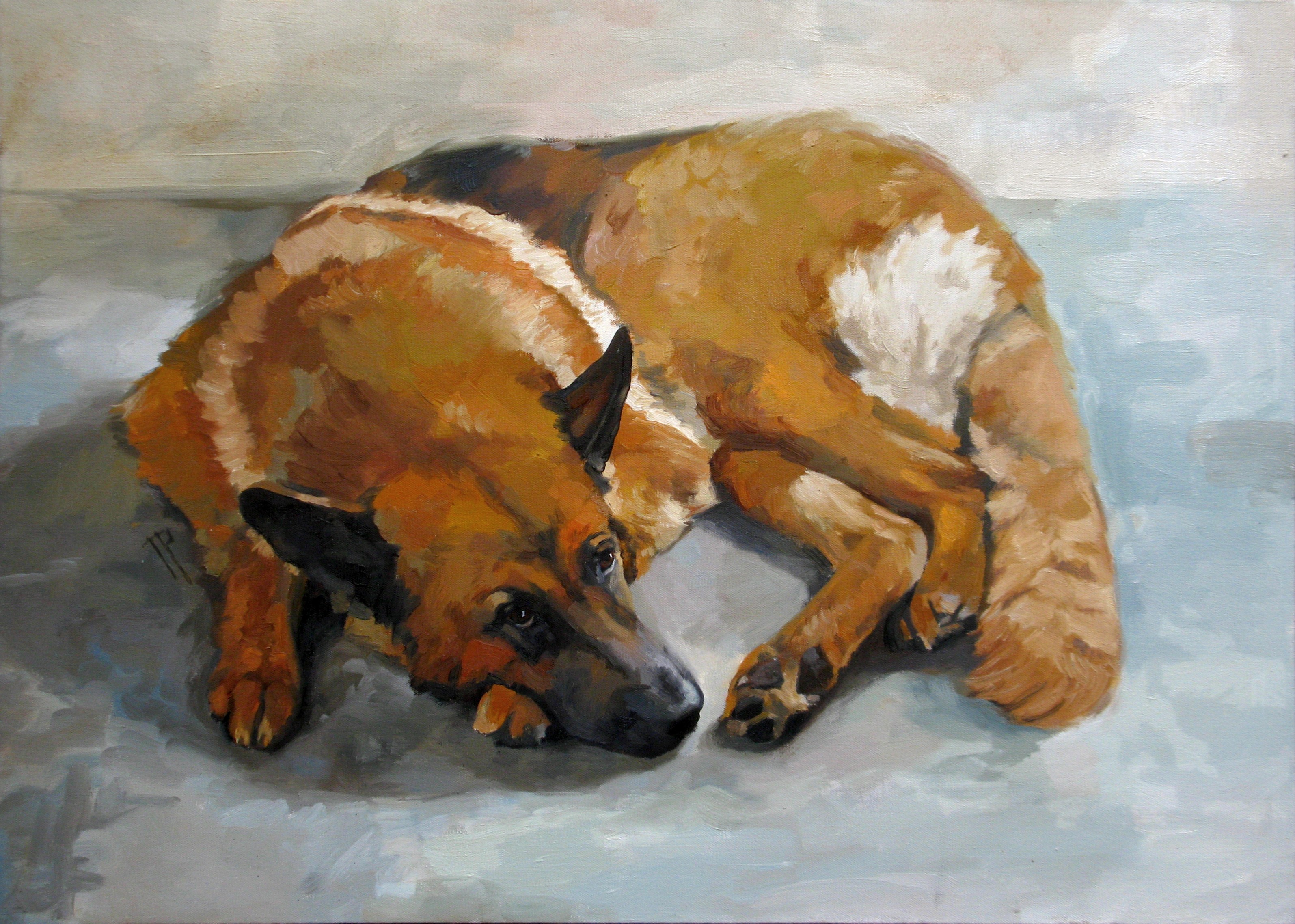Painting of a German Shepherd dog lying down HD Wallpaper