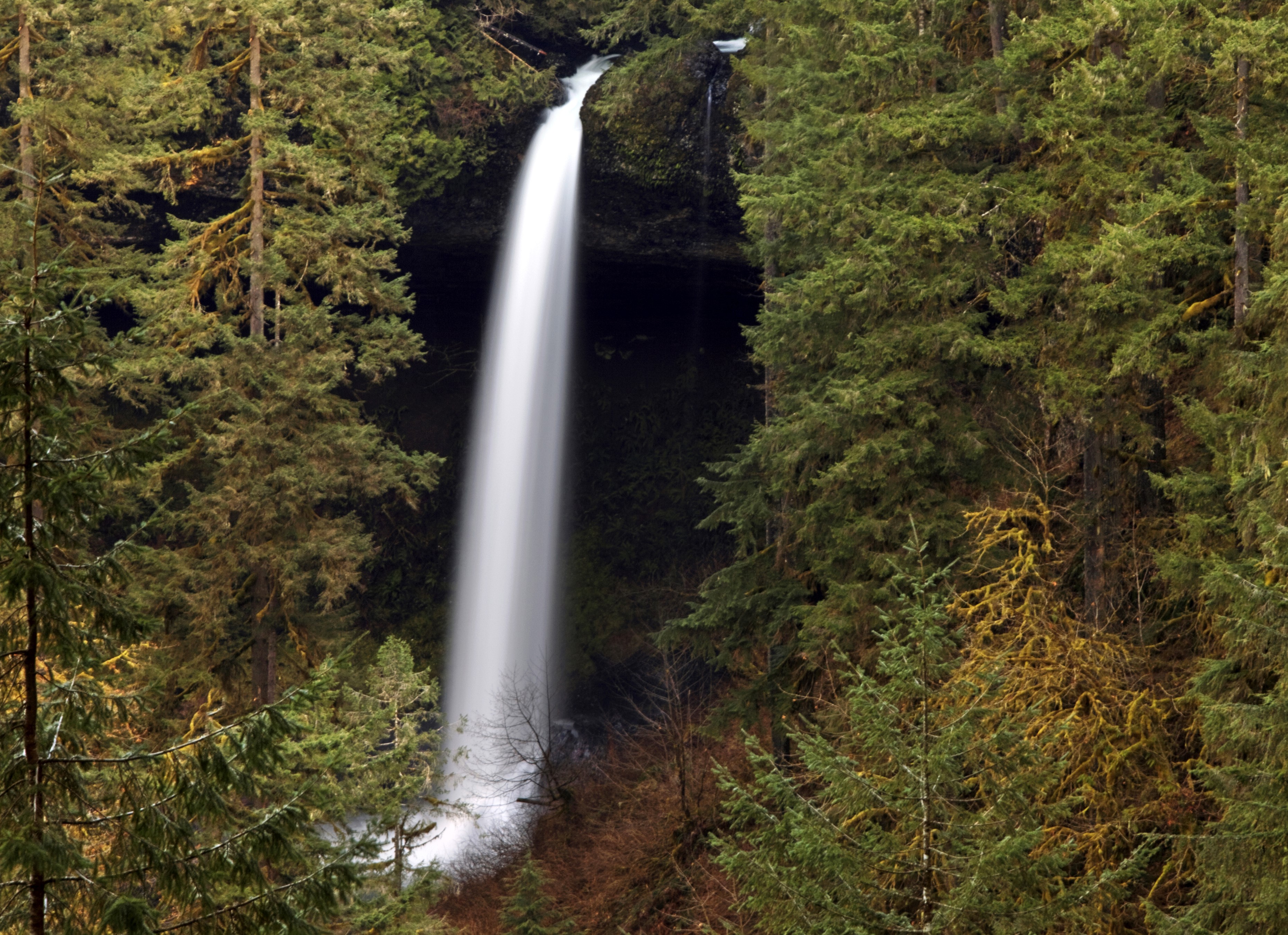 North Falls at Silver Falls State Park, USA HD Wallpaper