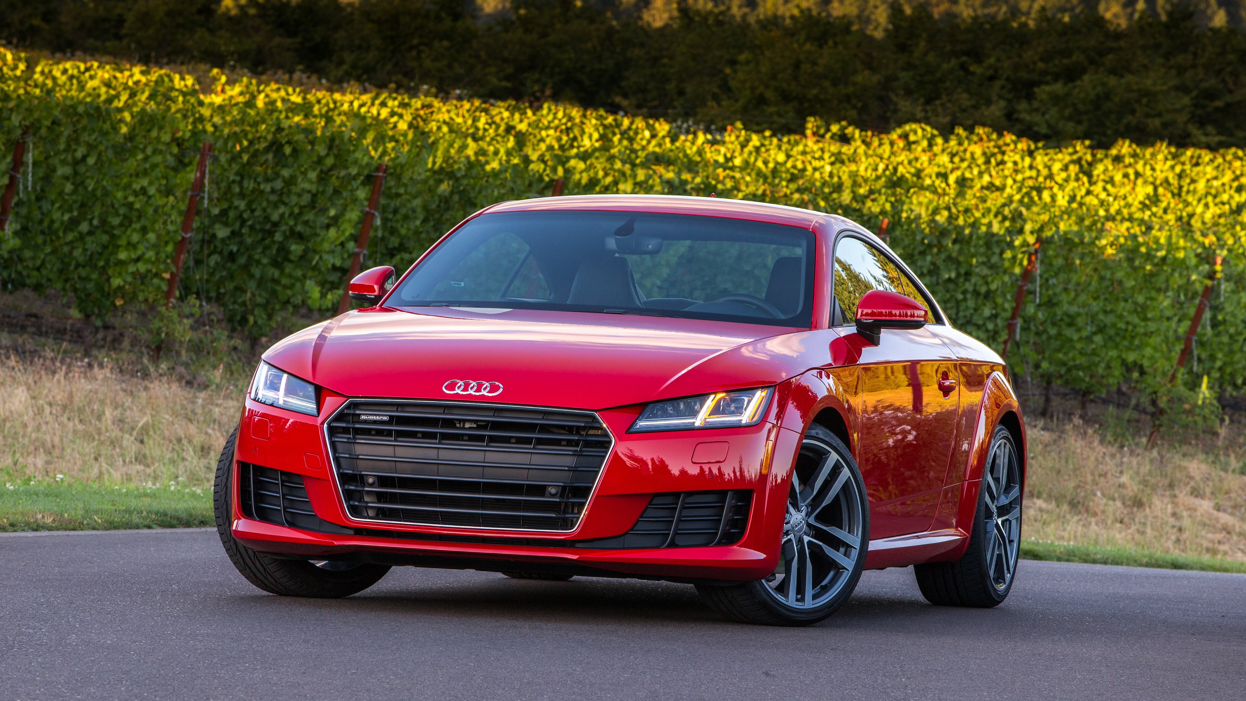 Red 2015 Audi TT Coupe TFSI quattro US-spec HD Wallpaper